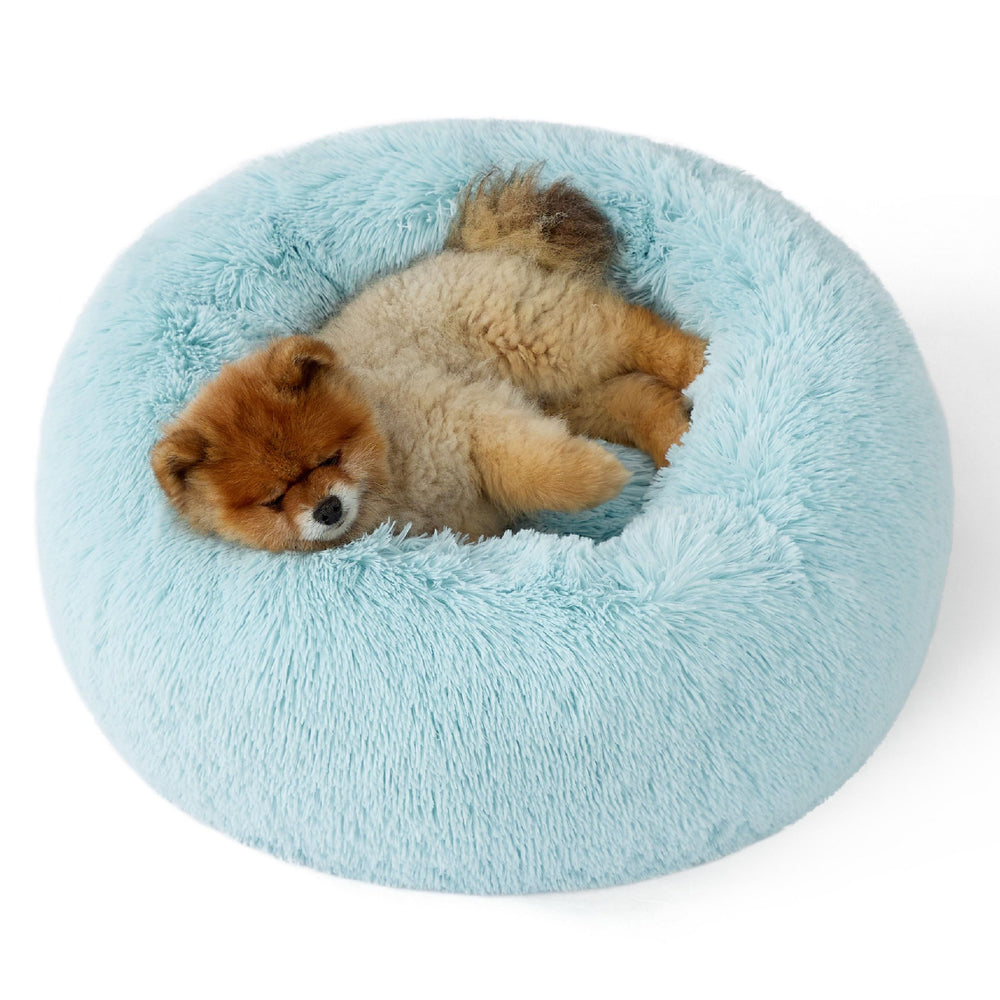 Bedsure calming donut bed in aqua blue offers a secure curl-up space for small dogs.