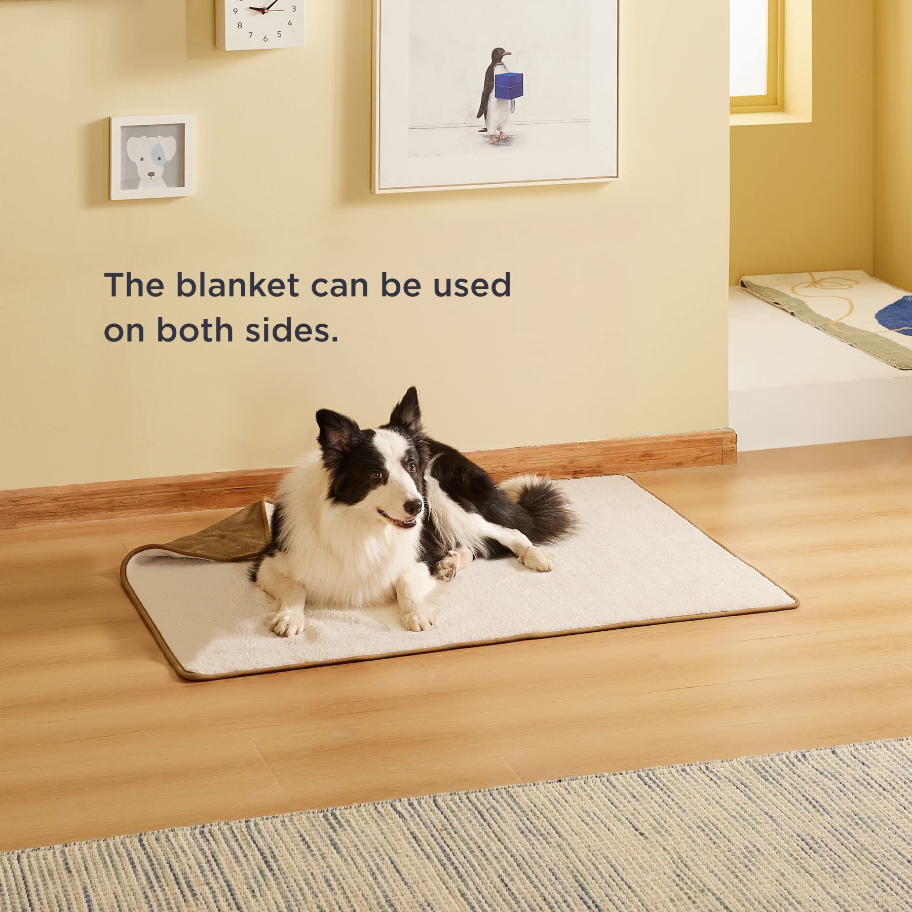 Bedsure camel color blanket complements home decor and pet lounging.