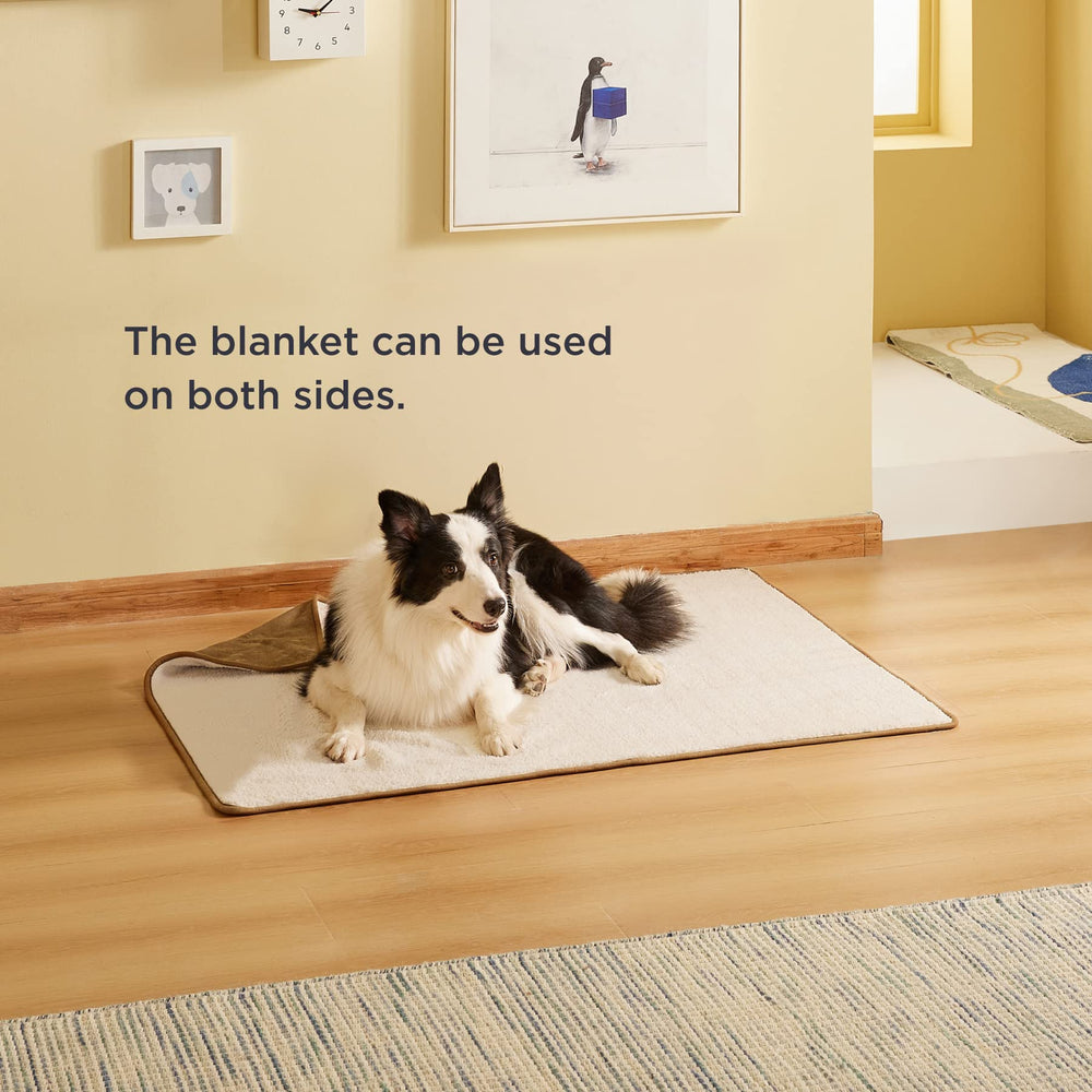 Bedsure camel color blanket complements home decor and pet lounging.