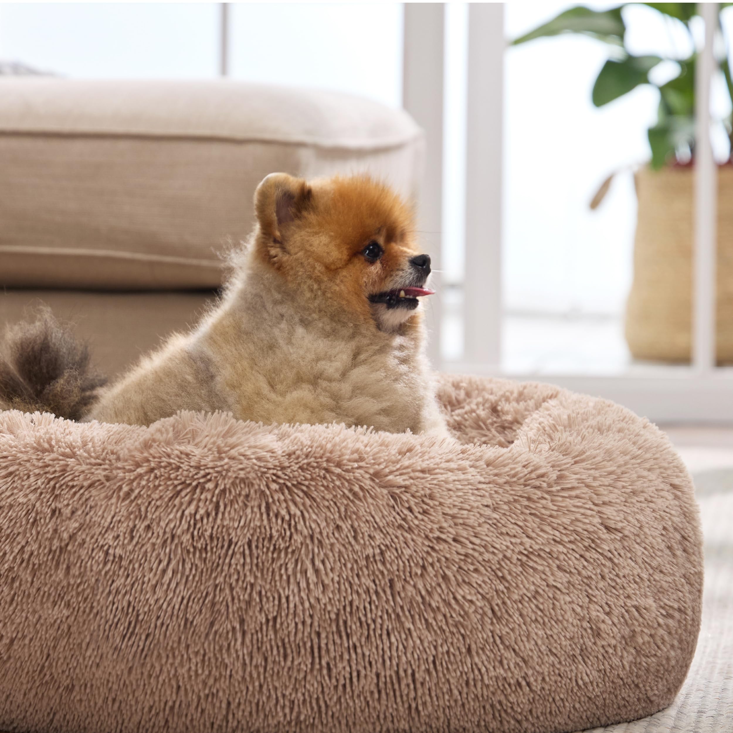 Bedsure camel donut bed blends with modern living spaces