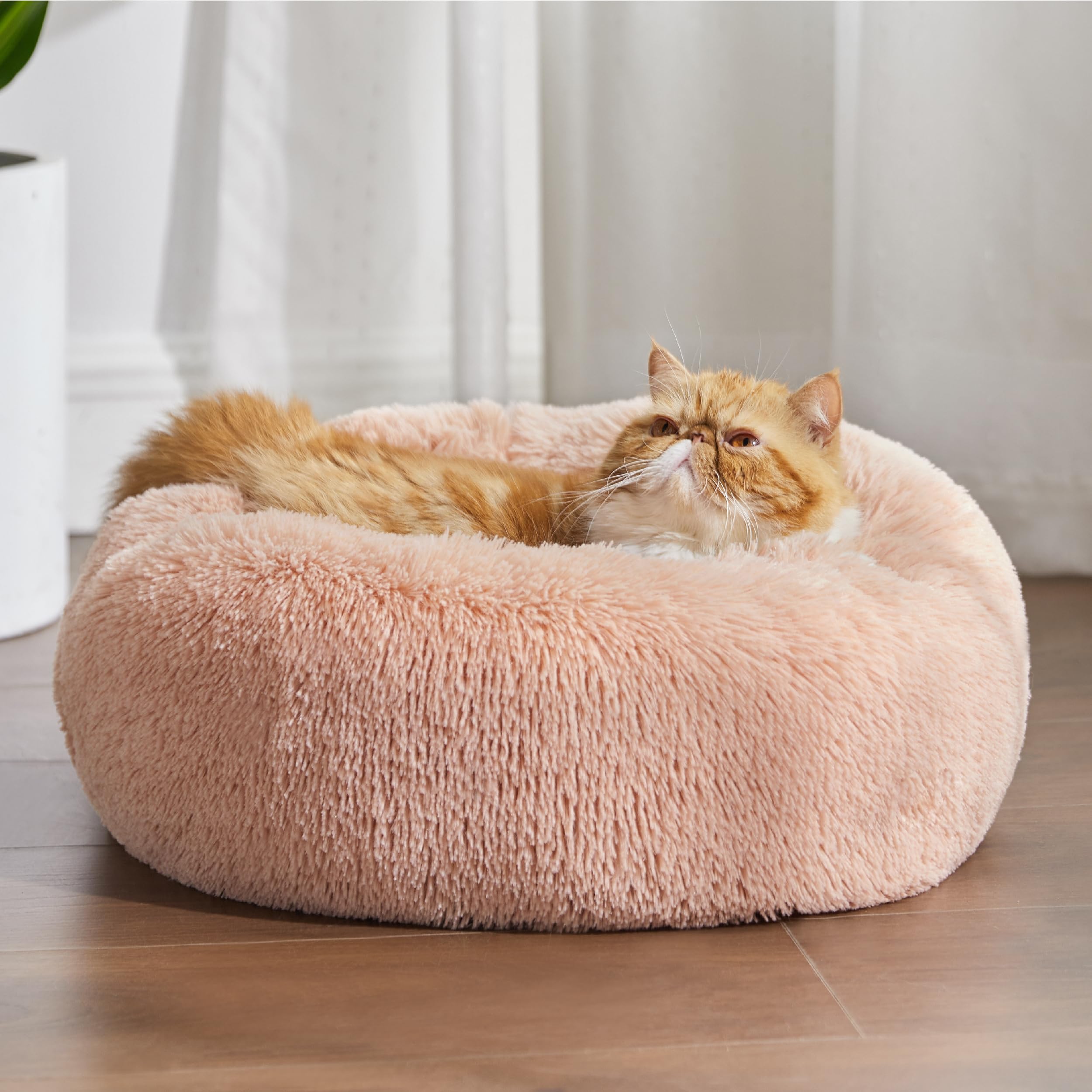 Bedsure cat bed anti-slip base secures placement on floors during naps