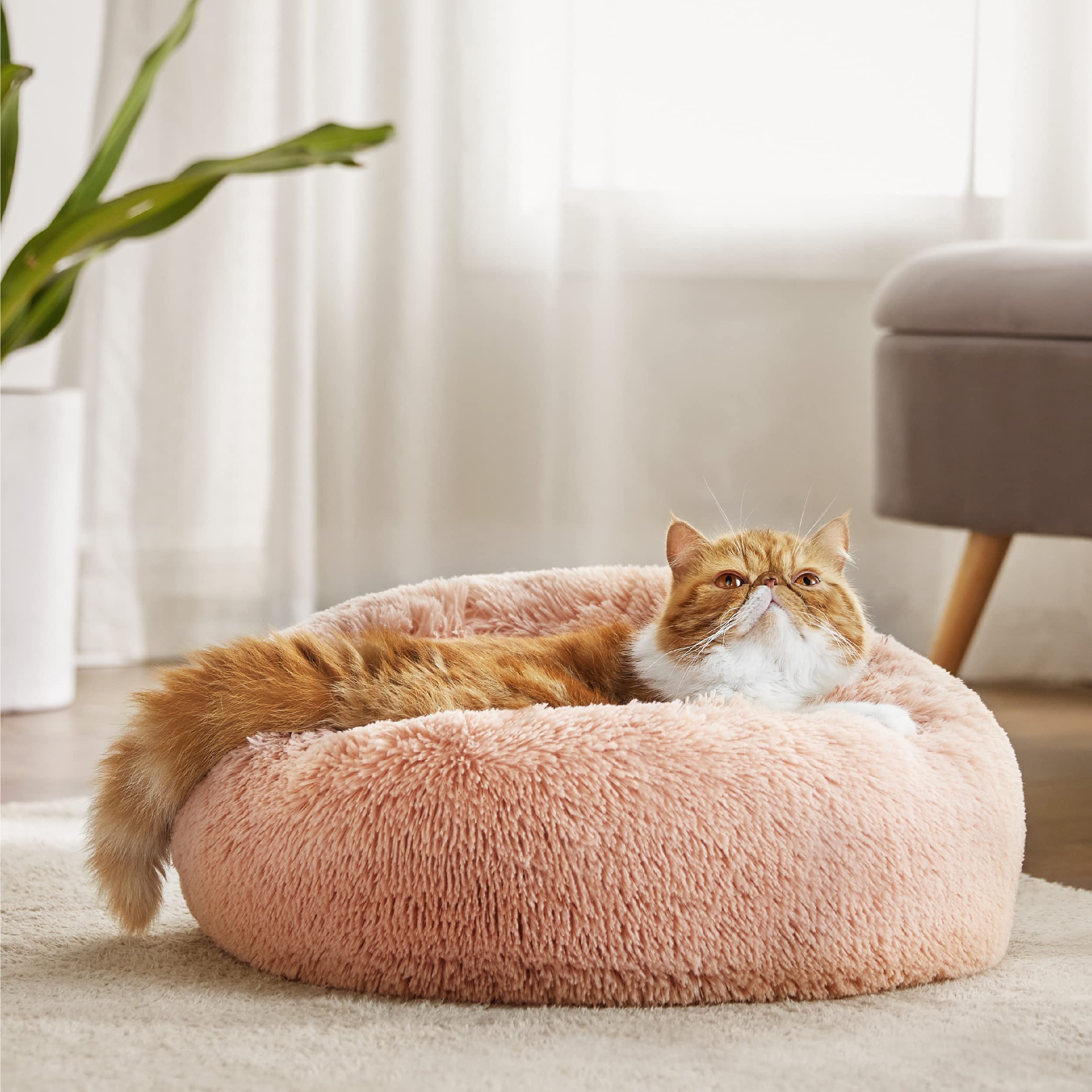 Bedsure pink round bed blends with decor while inviting cozy cat naps