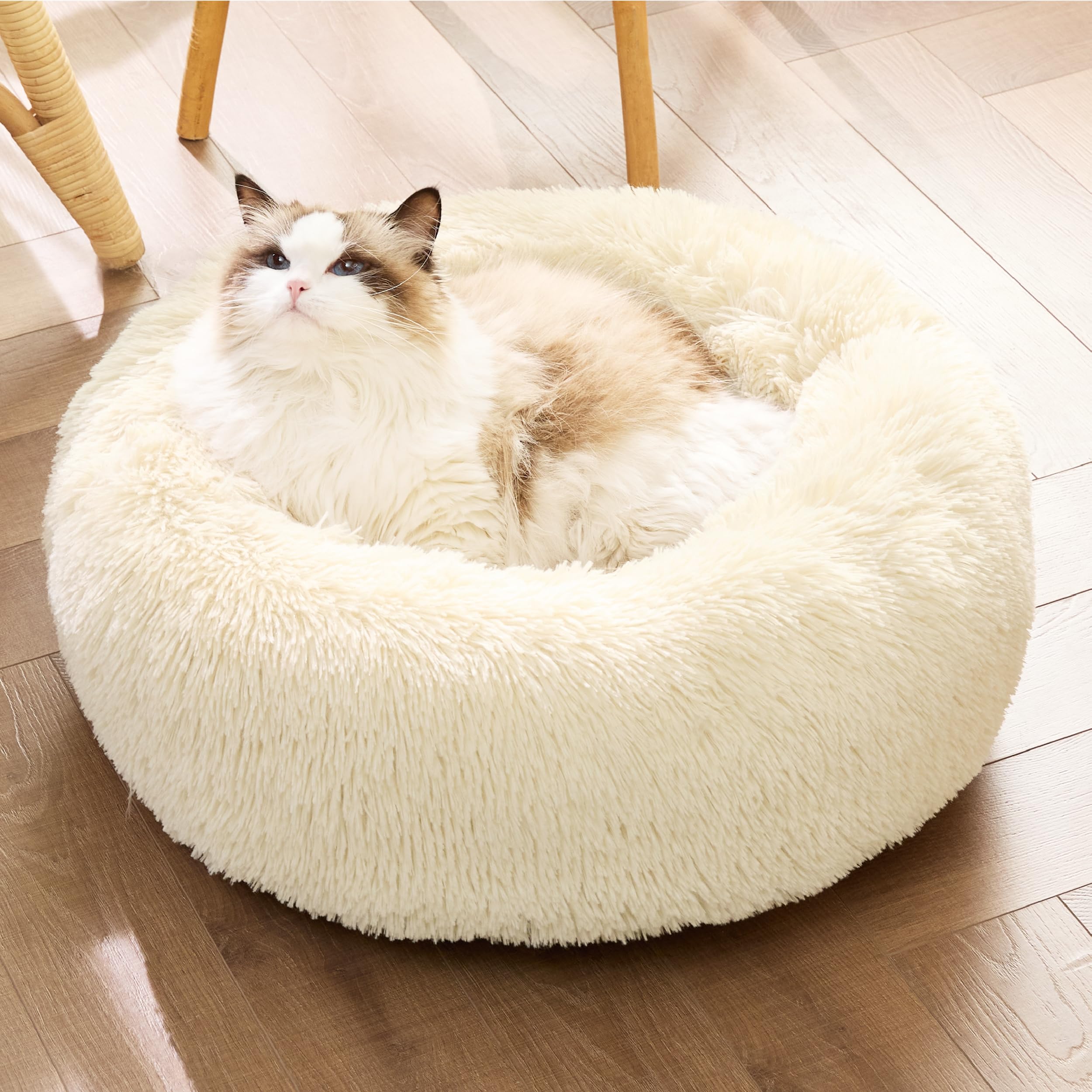 Bedsure cat bed with raised rim supports head and neck for relaxed lounging.
