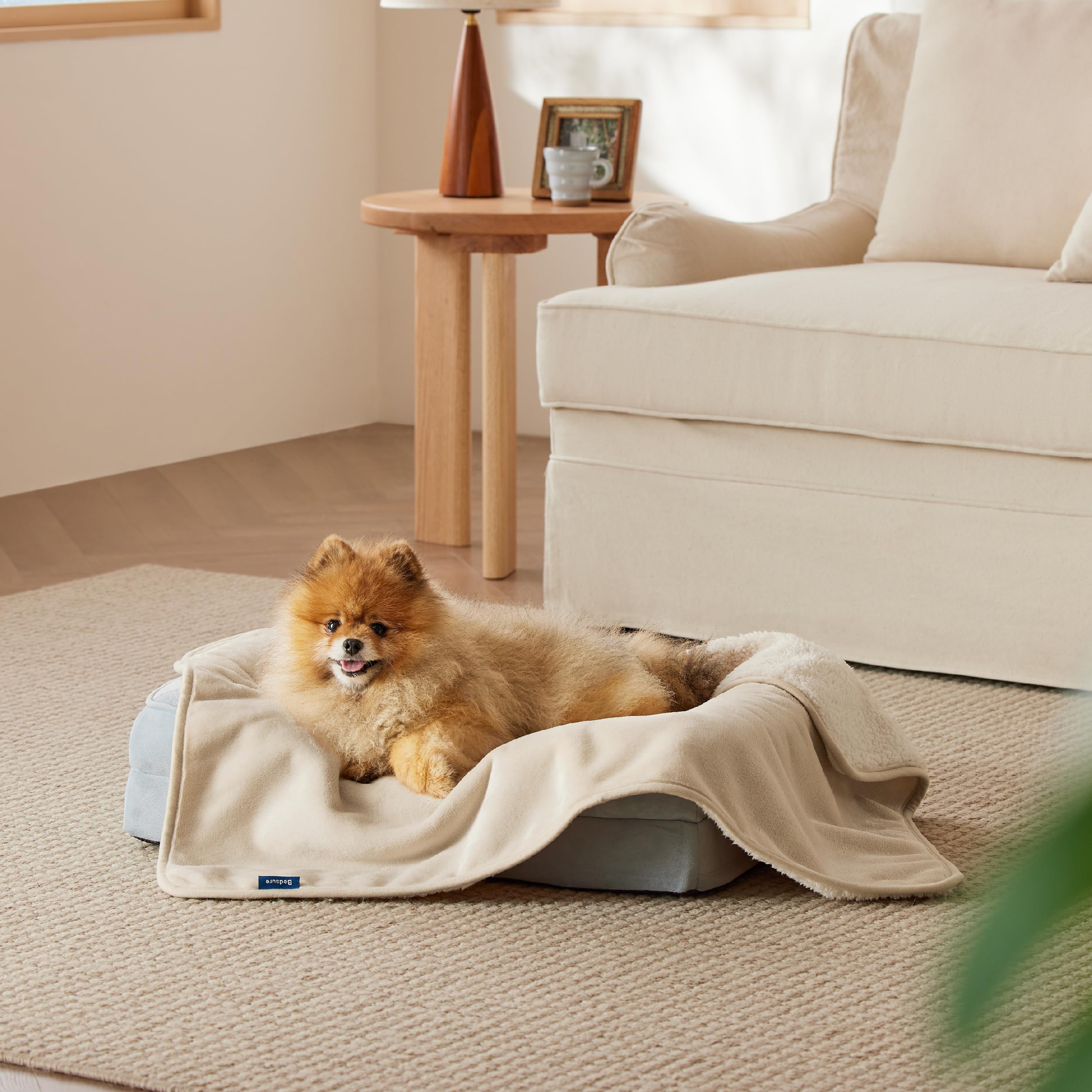 Bedsure cat blanket kitten-calming cream creates a cozy space