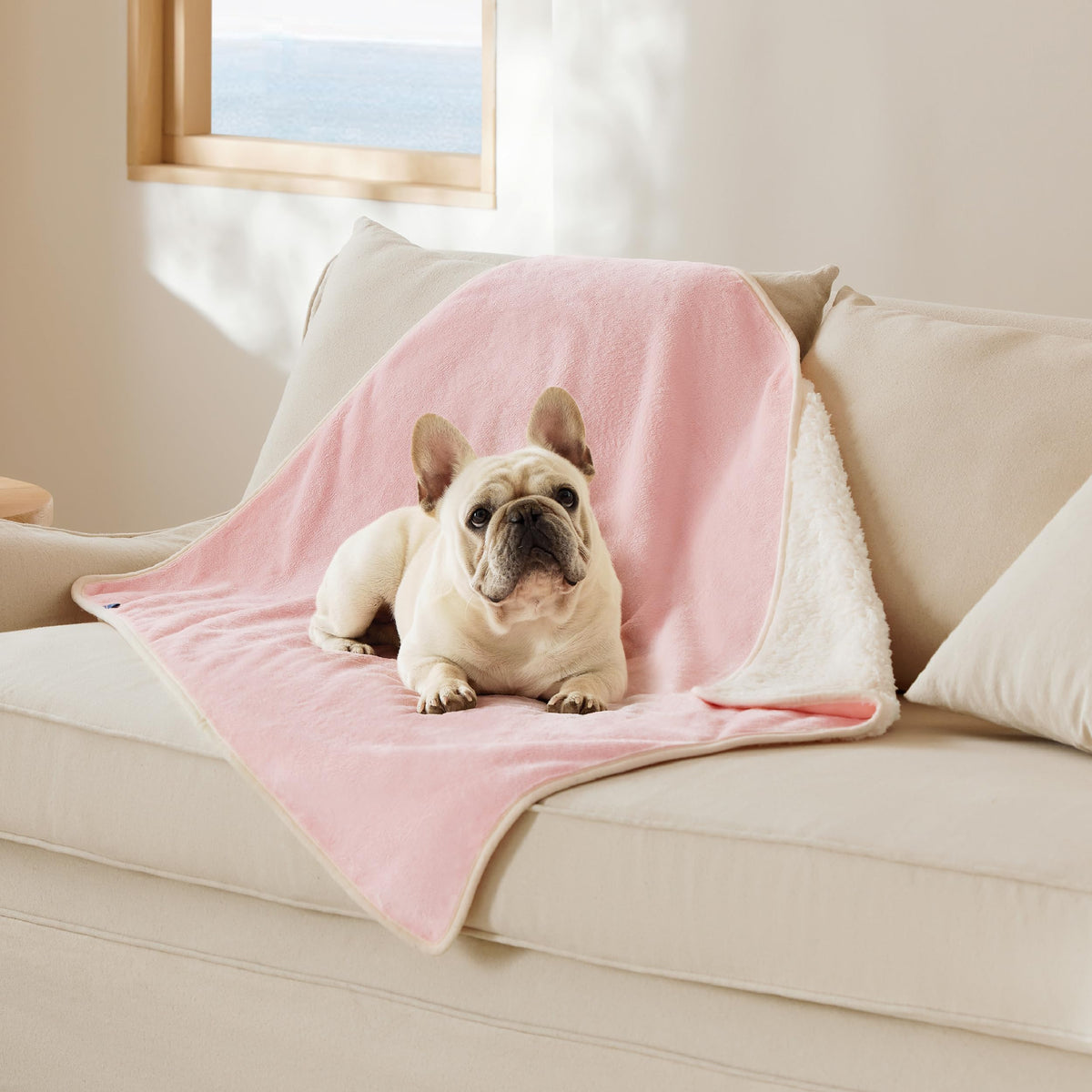 Bedsure Cat Blanket waterproof couch protection protects furniture from spills and fur