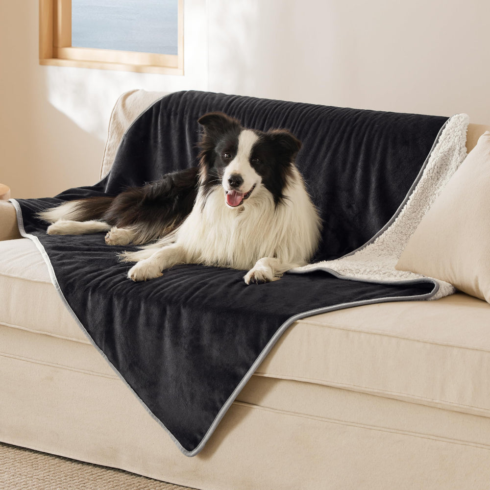 Bedsure cat blanket with waterproof inner lining on couch protects furniture from spills.