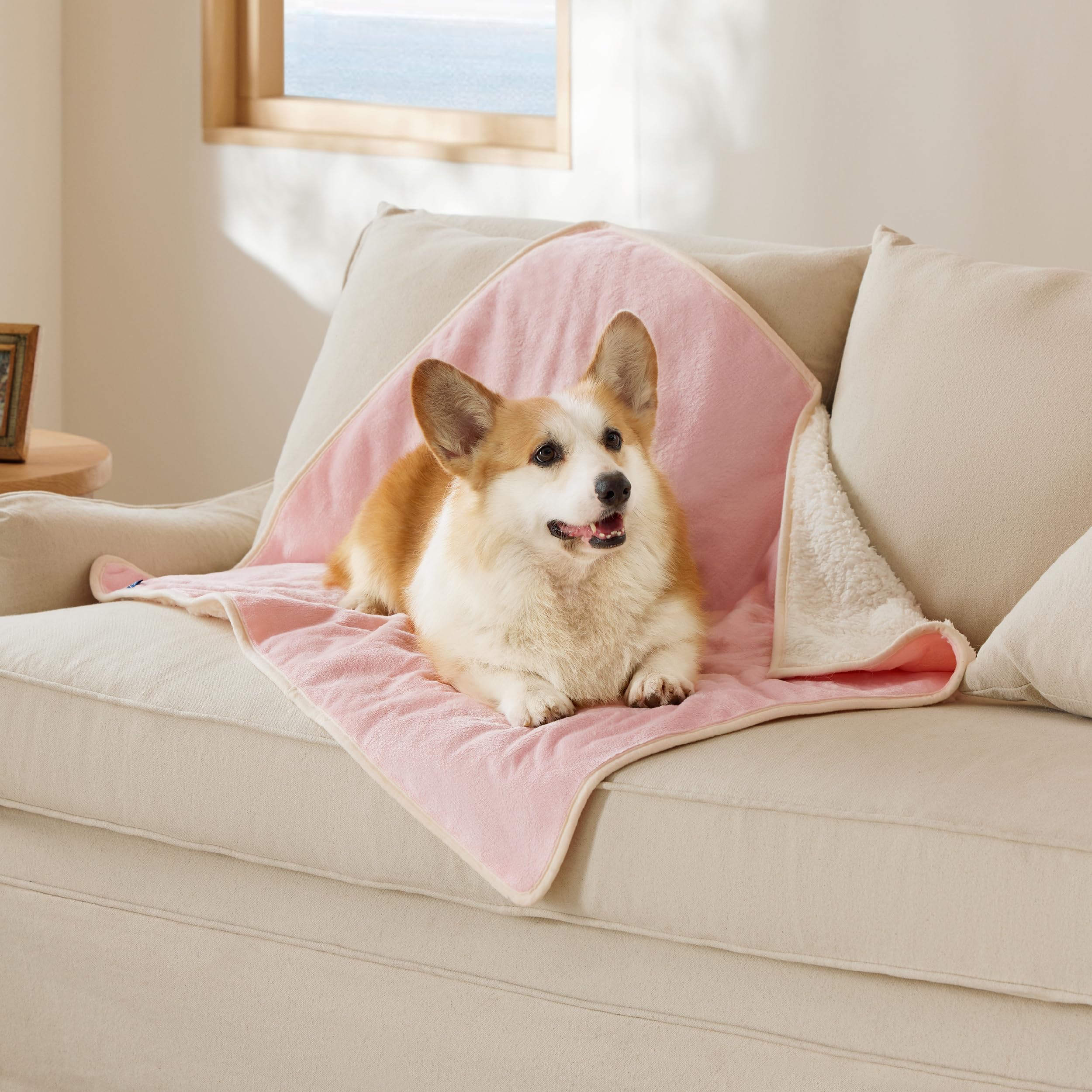 Bedsure cat blanket waterproof-leakproof keeps furniture dry and protected.