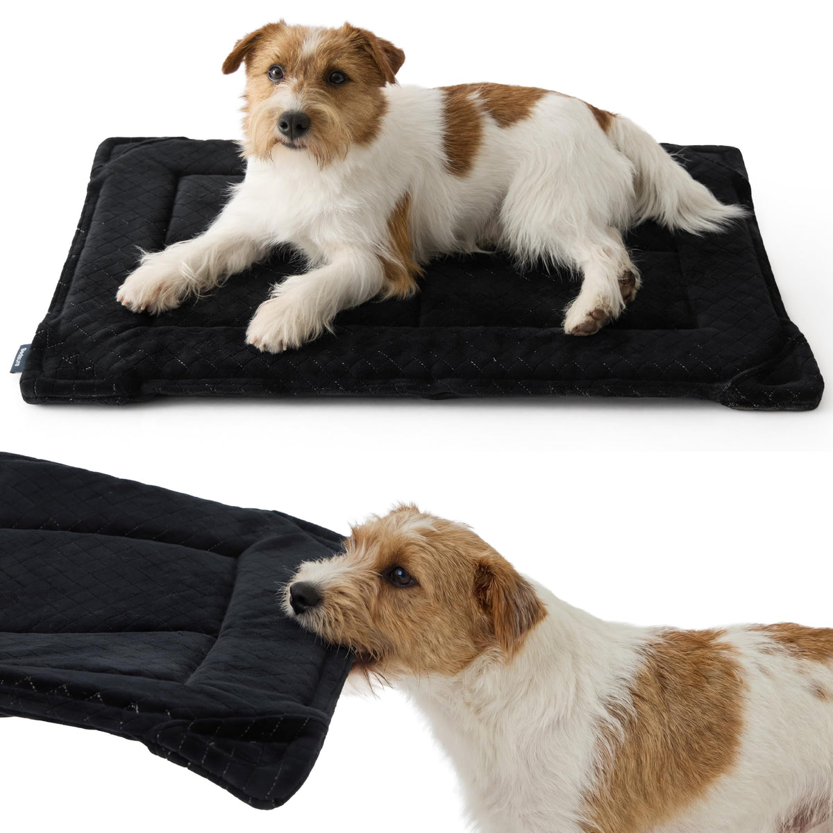 Bedsure chew-resistant bed with corner reinforcement for durable chew protection
