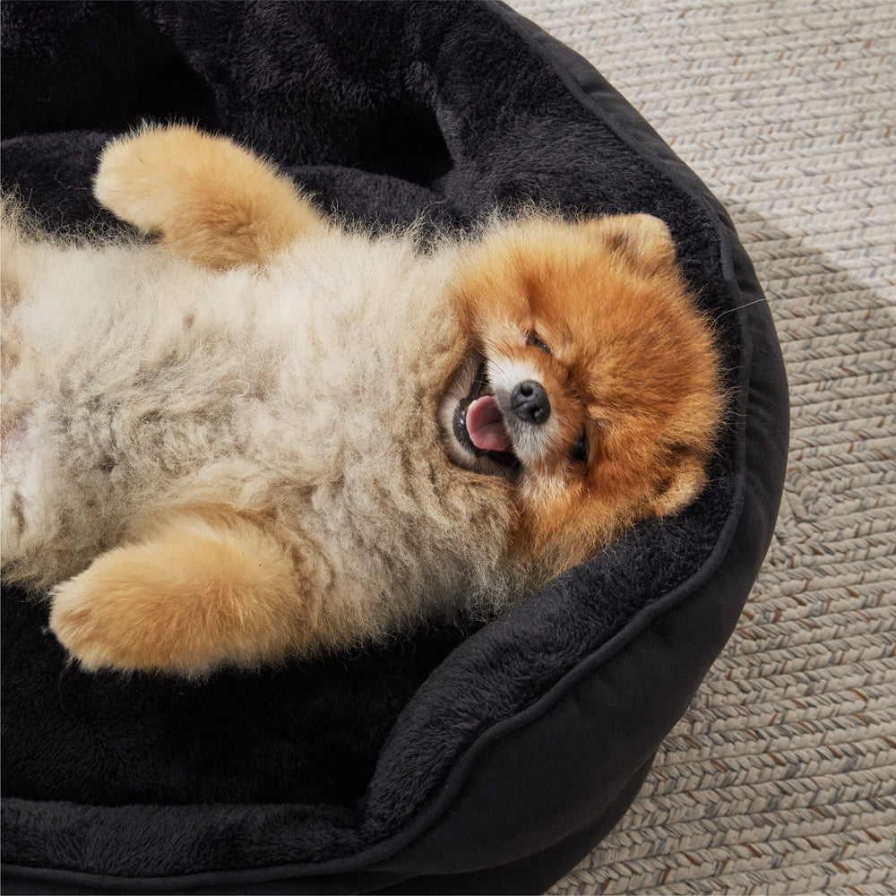 Bedsure closeup shows plush sherpa fabric for soft comfort.