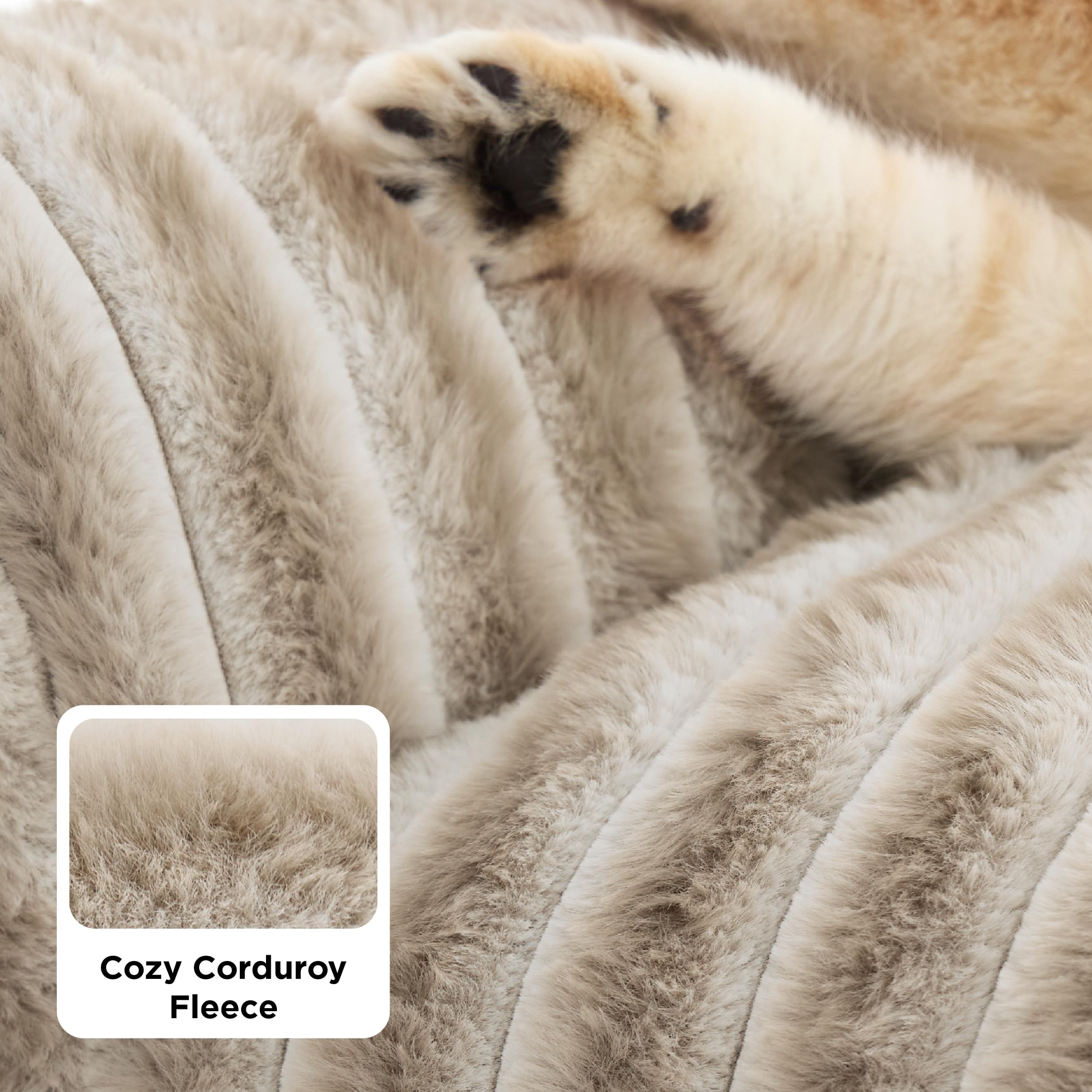 Bedsure ComfyFleece Cat Couch removable cover for easy cleaning.