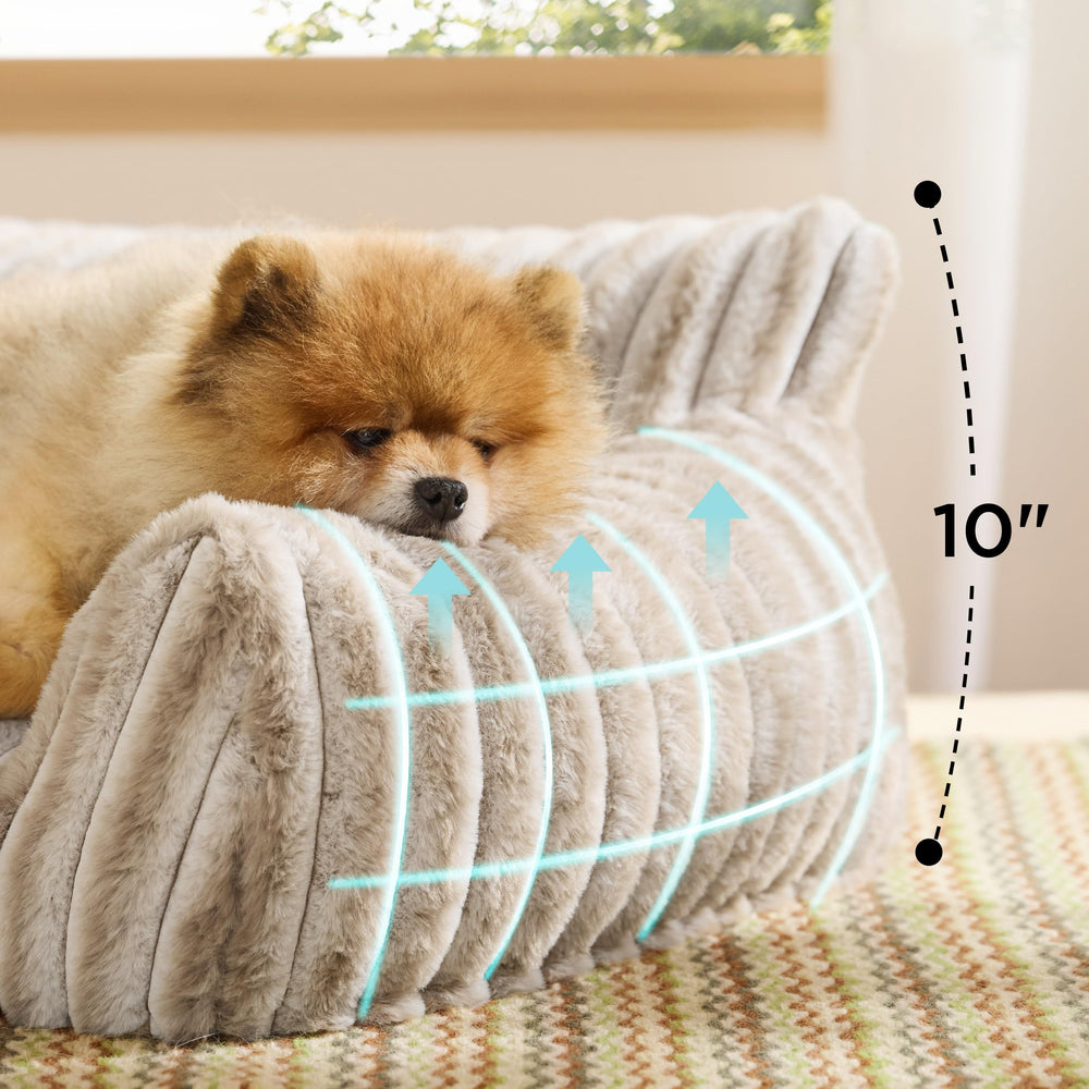 Bedsure ComfyFleece Cat Couch front view invites cozy lounging for pets.