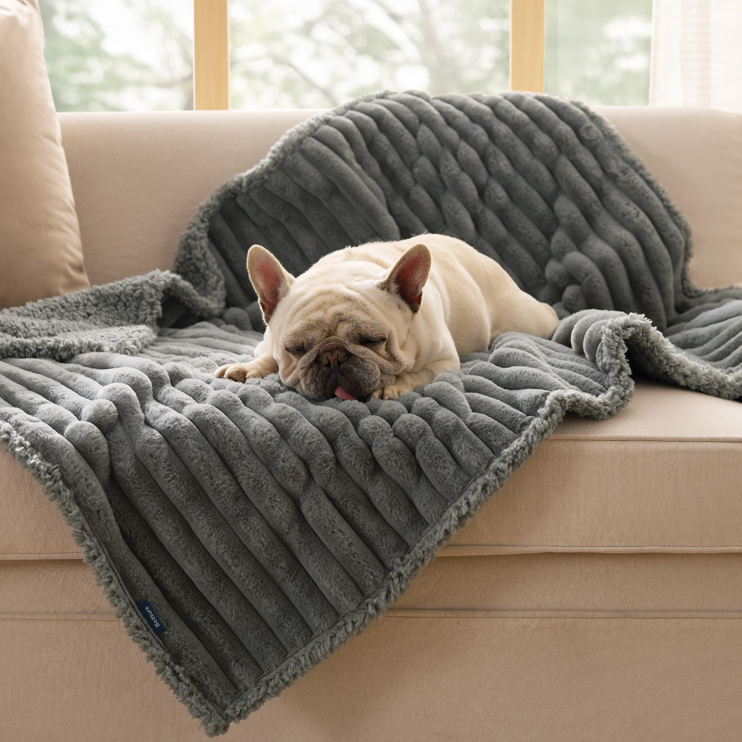 Couch protection scene showing fur and spill resistance