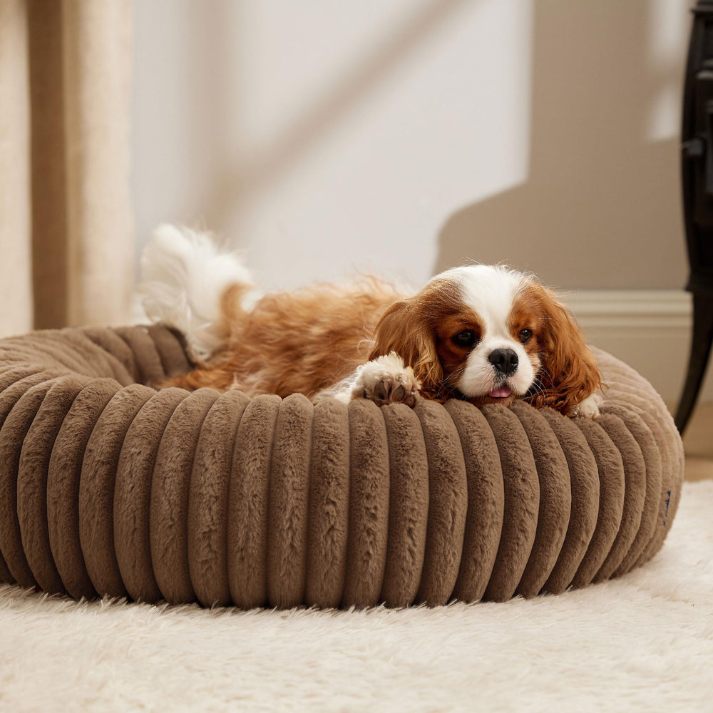 Bedsure ComfyFleece donut bed camel color complements cozy home spaces