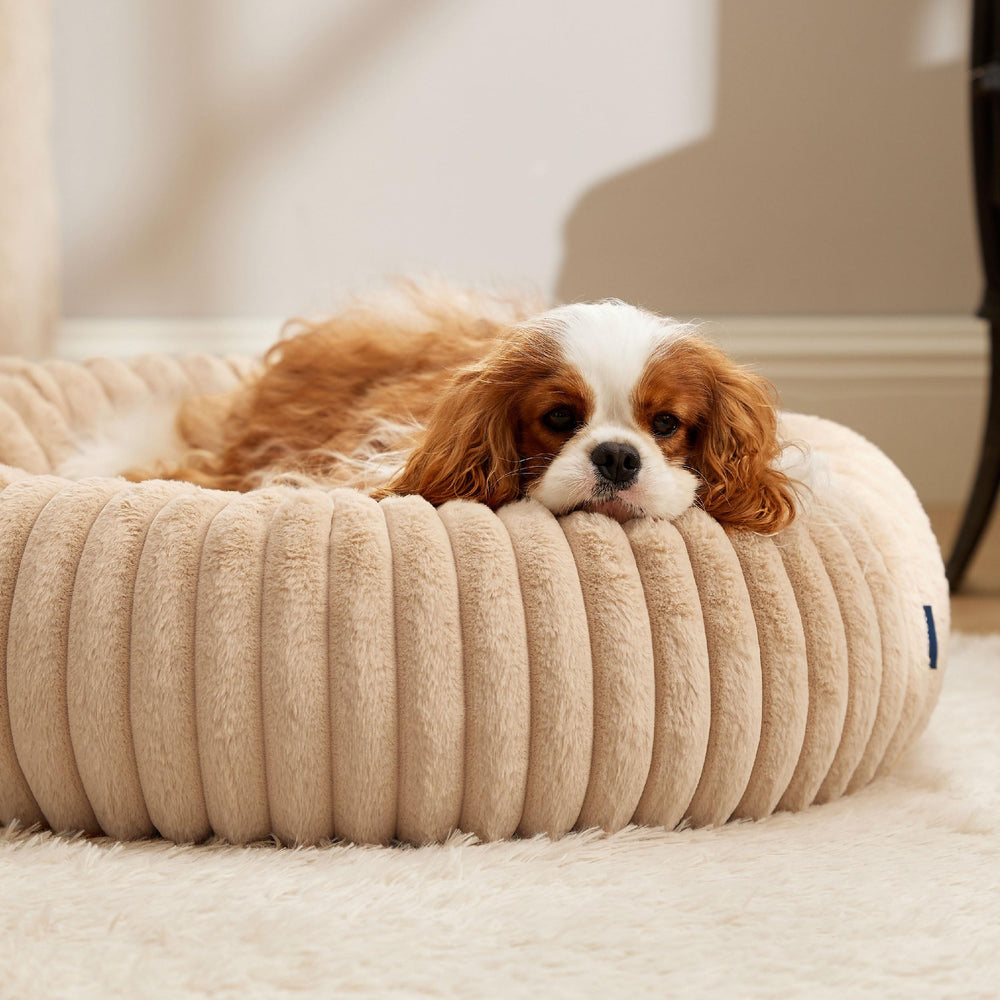 Bedsure ComfyFleece Donut Bed sandy beige color complements home decor