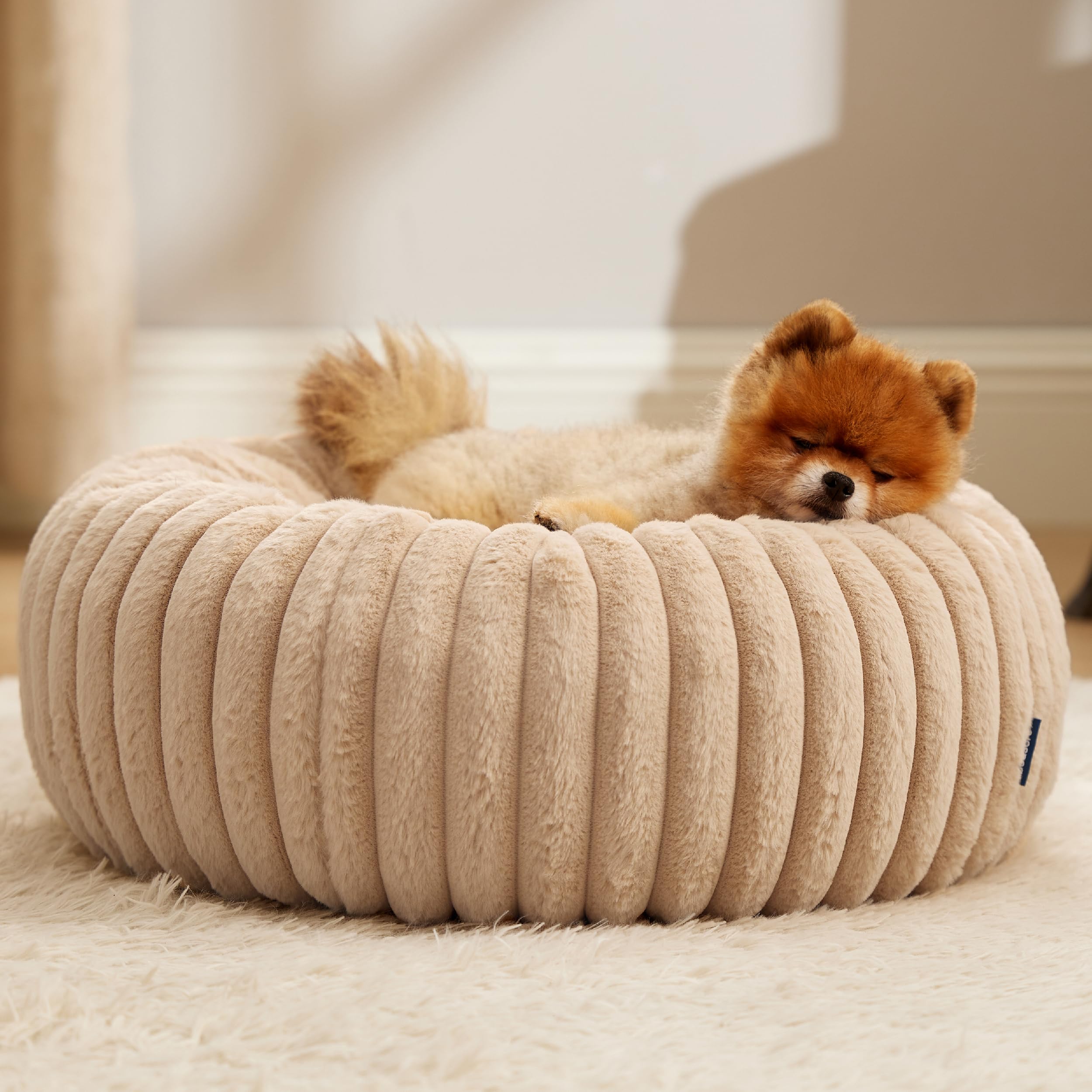Bedsure donut bed inviting curling up for a peaceful nap.