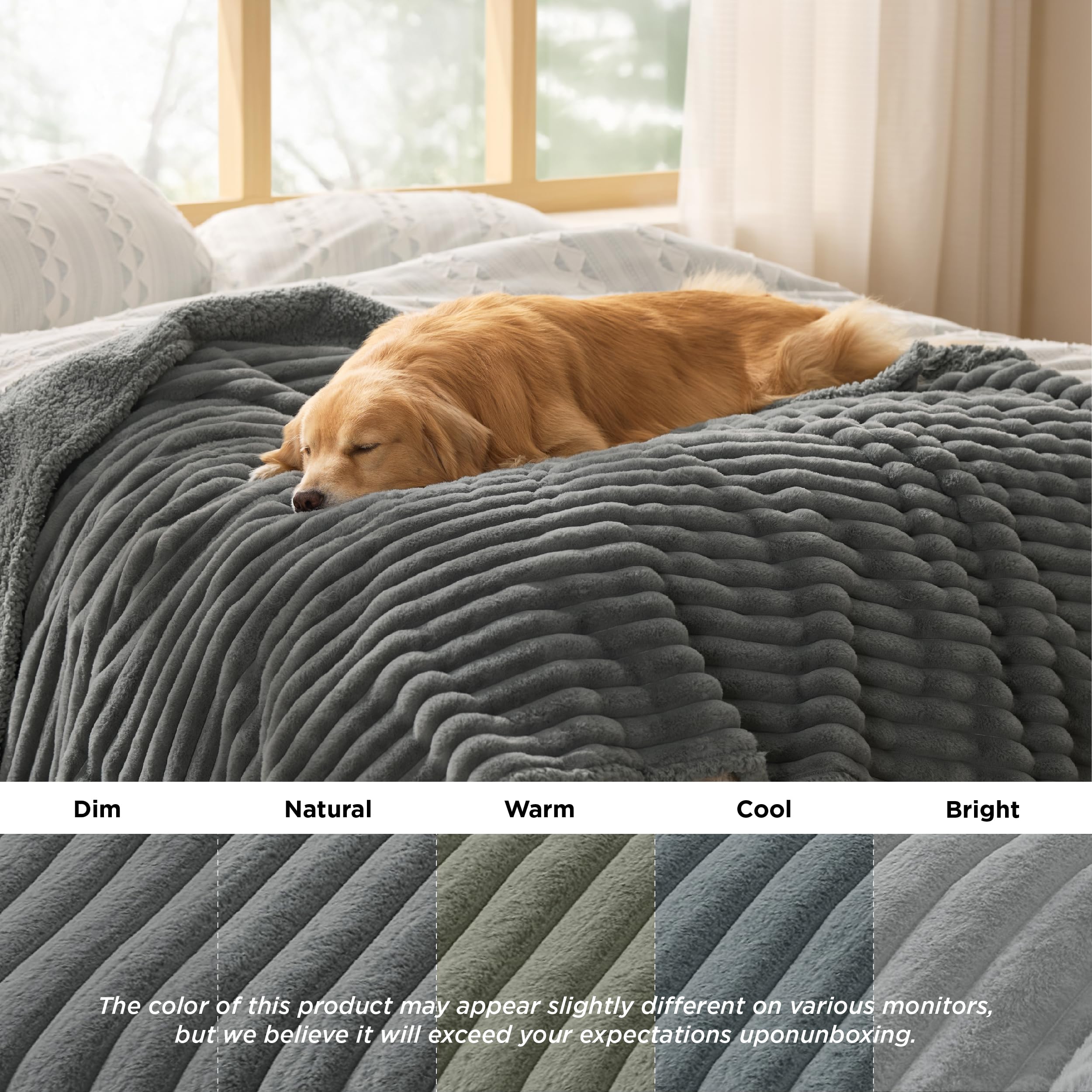 Bedsure ComfyFleece large-dog suitable blanket keeps pets cozy at home.