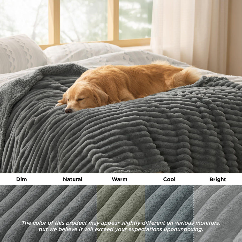 Bedsure ComfyFleece large-dog suitable blanket keeps pets cozy at home.