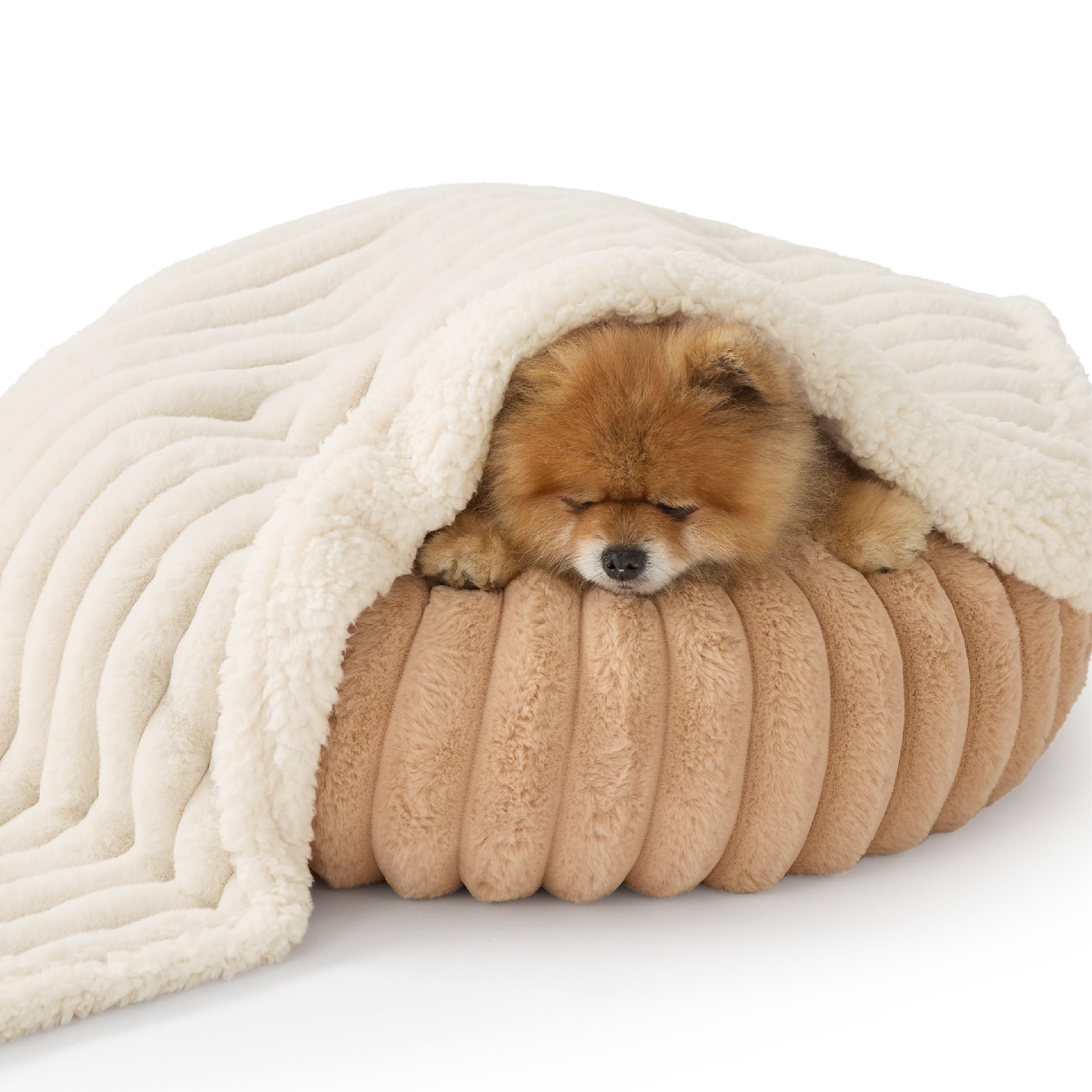Bedsure ComfyFleece small-dog blanket, 25x35 layout for kittens or small dogs