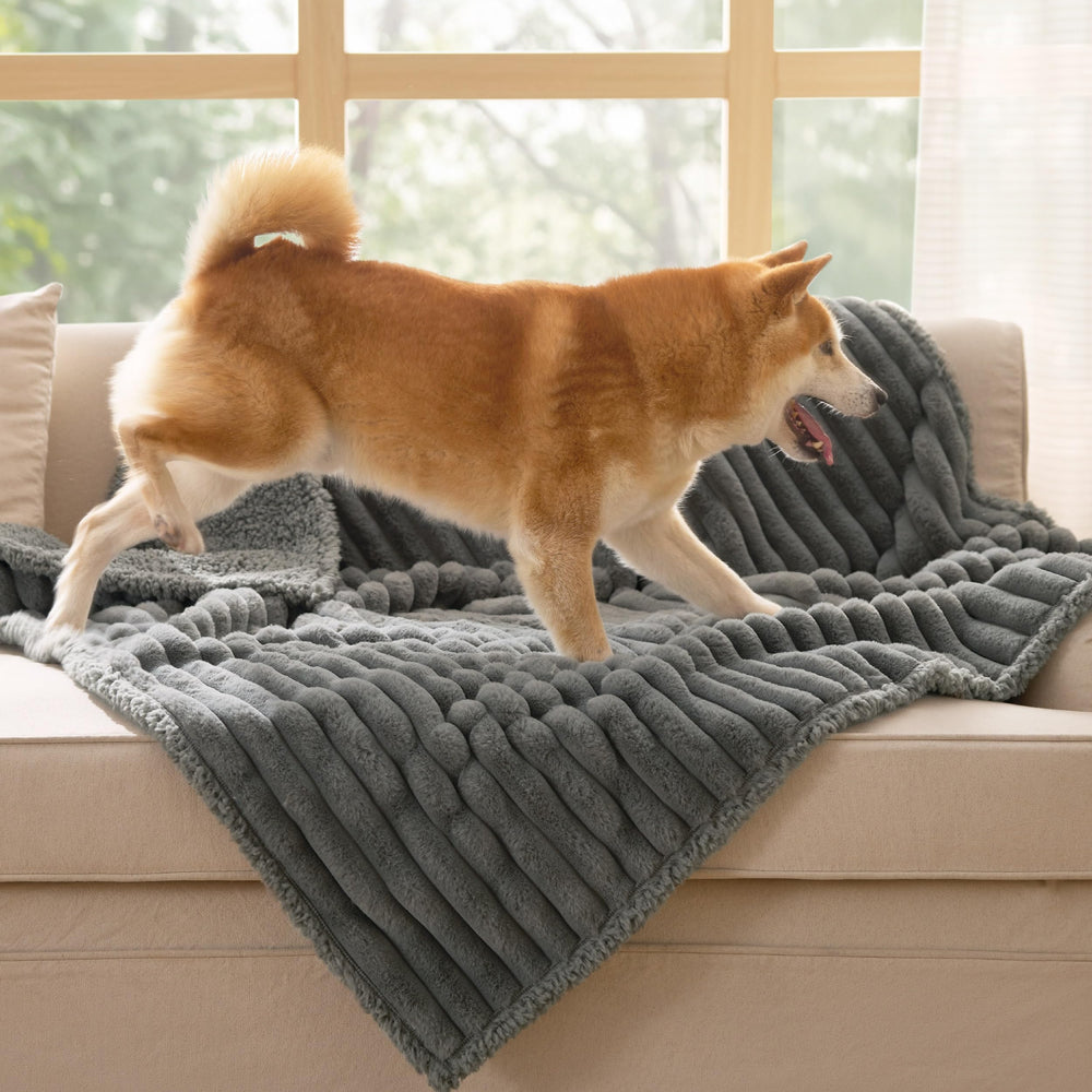 Bedsure ComfyFleece warm-grey 40x50 blanket fits large dogs
