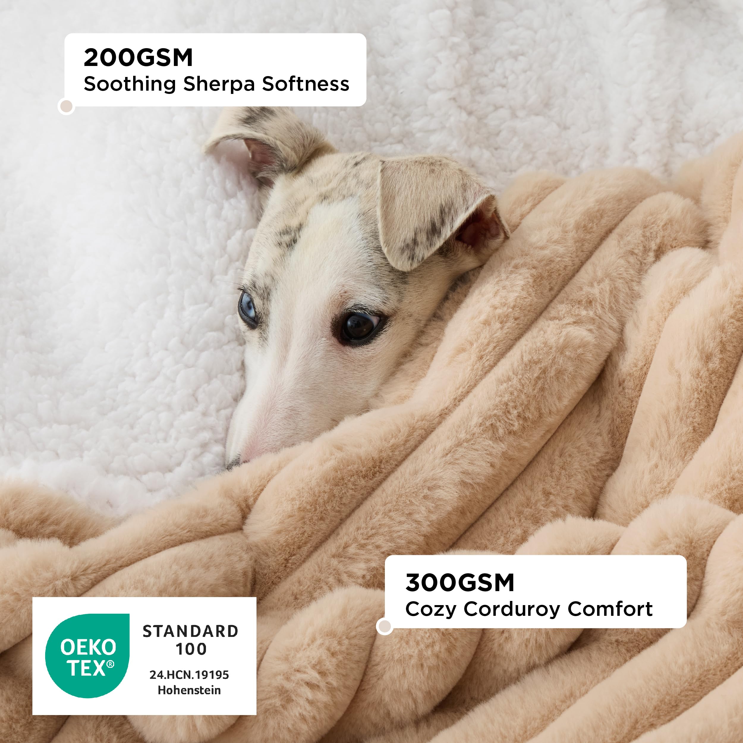 Bedsure ComfyFleece waterproof dog blanket folded on couch shows cozy reversible textures