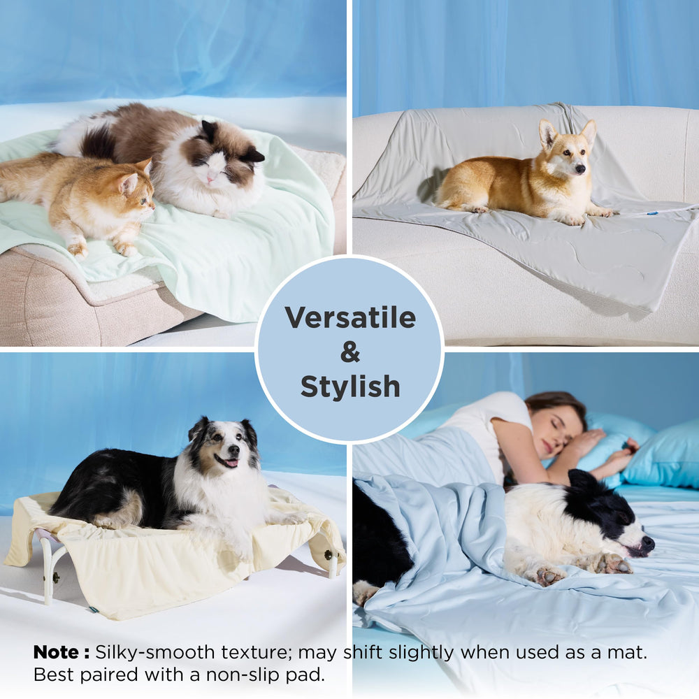 Bedsure blanket on sofa offers versatile lounging and crate-break comfort.