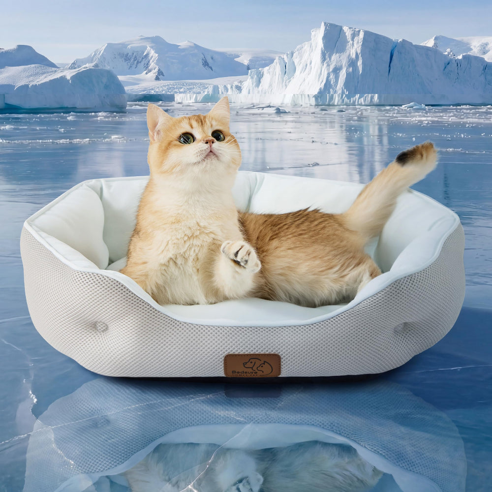 Bedsure cooling dog bed round 20in in Arctic Blue delivers instant cooling comfort.