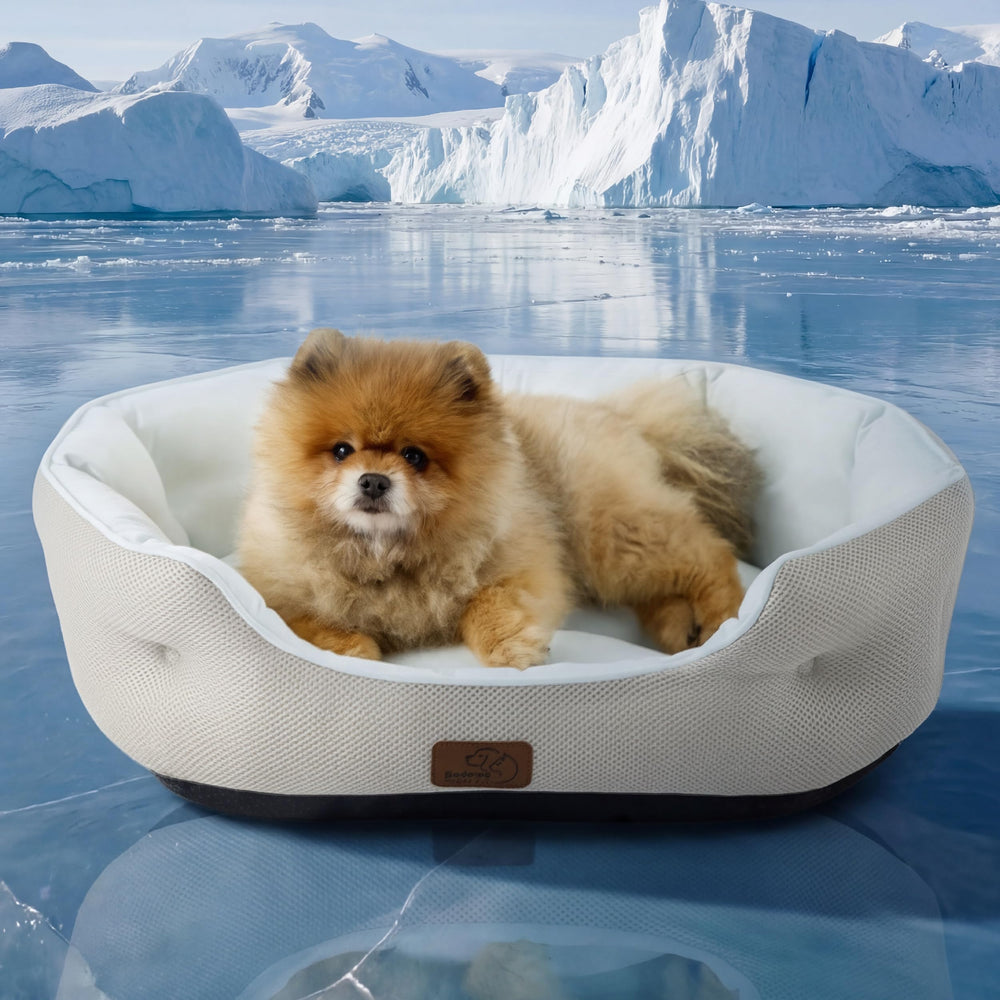 Bedsure cooling dog bed with round bolster keeps small dogs comfortable