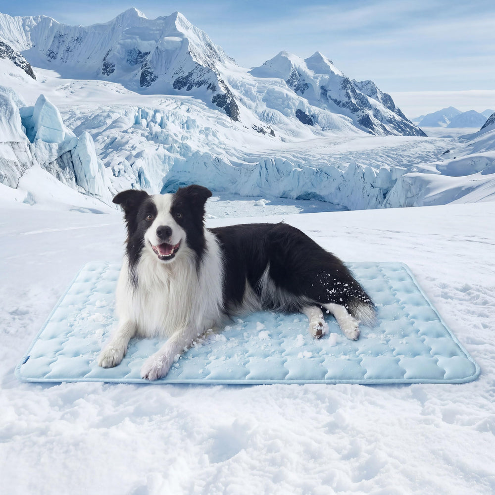 Bedsure cooling dog mat xl blue on floor offers instant cooling for hot naps.