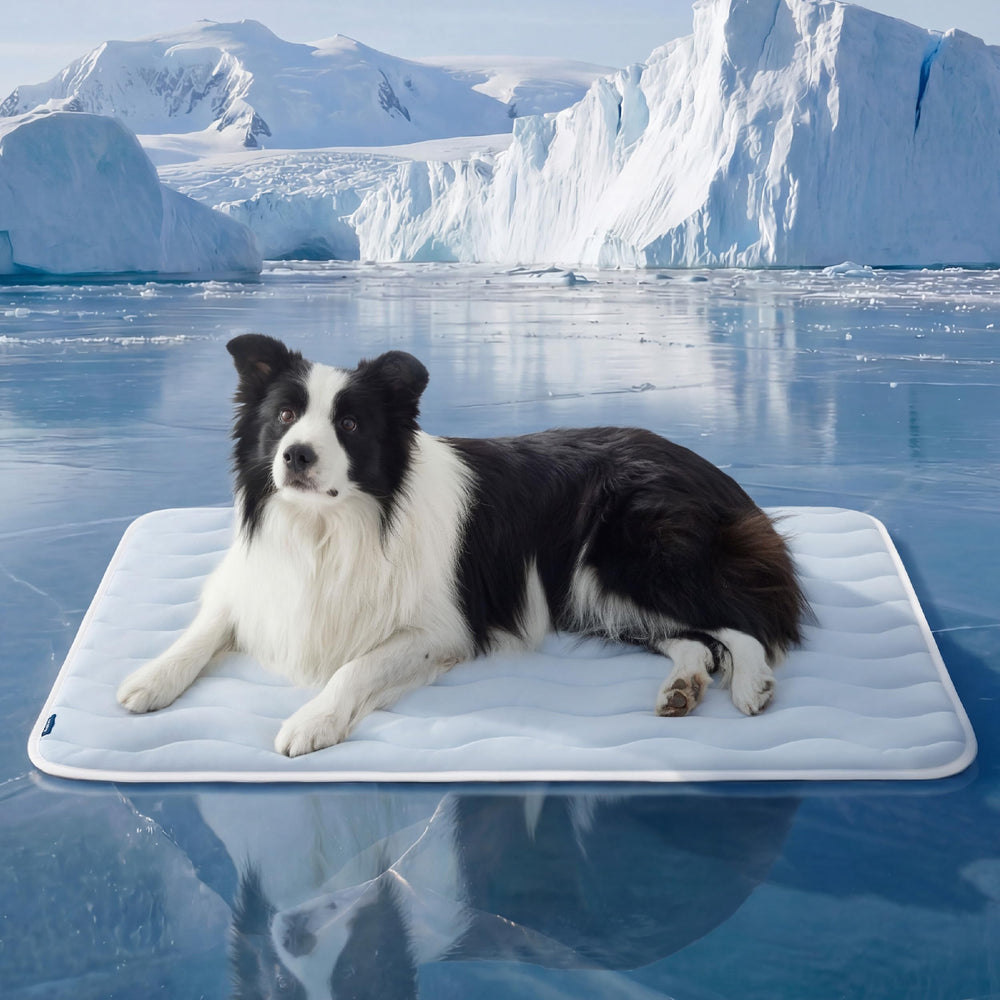 Bedsure cooling dog mat XL fabric close-up with instant cooling