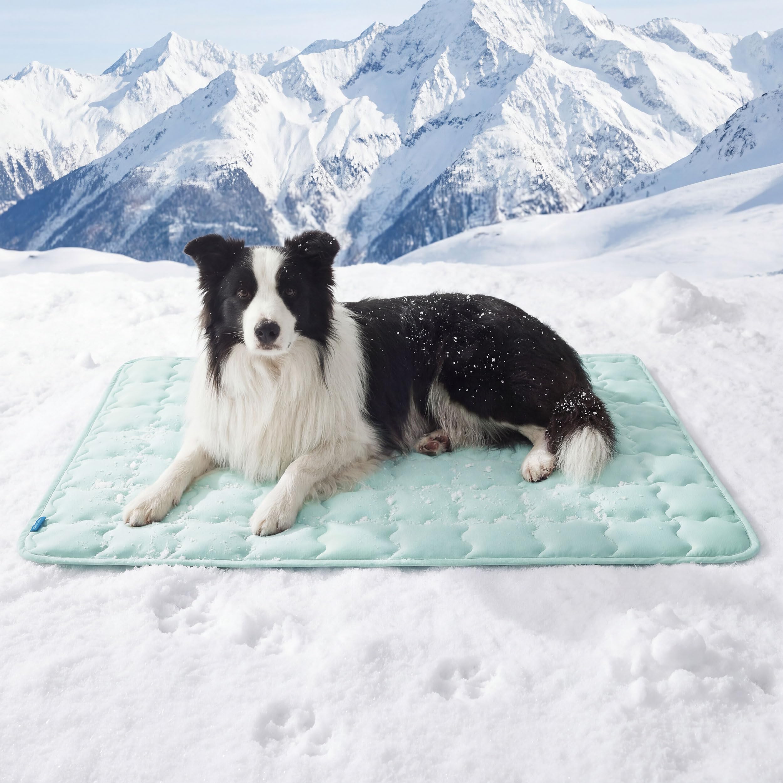 Bedsure cooling dog mat xl showing instant cooling for hot days.