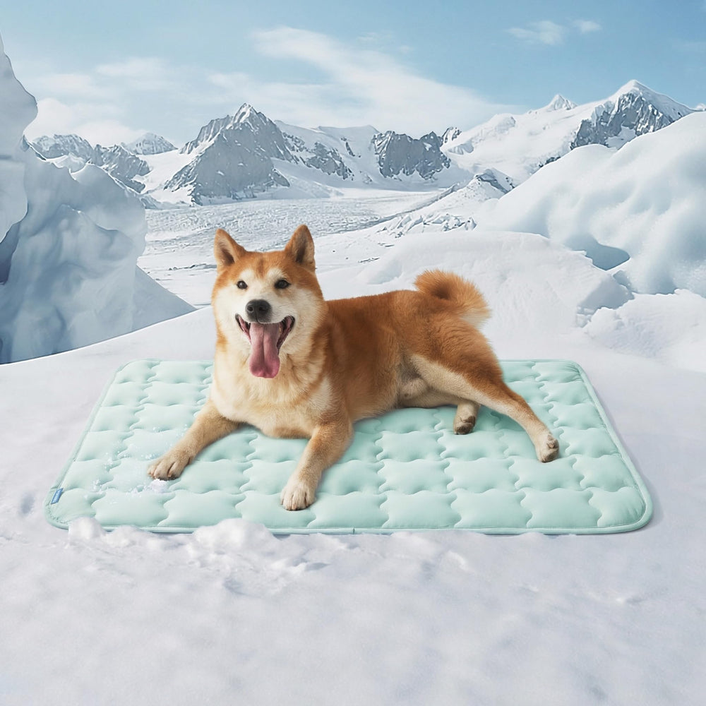 Bedsure cooling mat for large dogs showing instant cooling and comfort