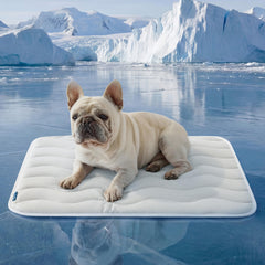 Bedsure cooling mat medium: dog relaxing on the mat for instant cooling.