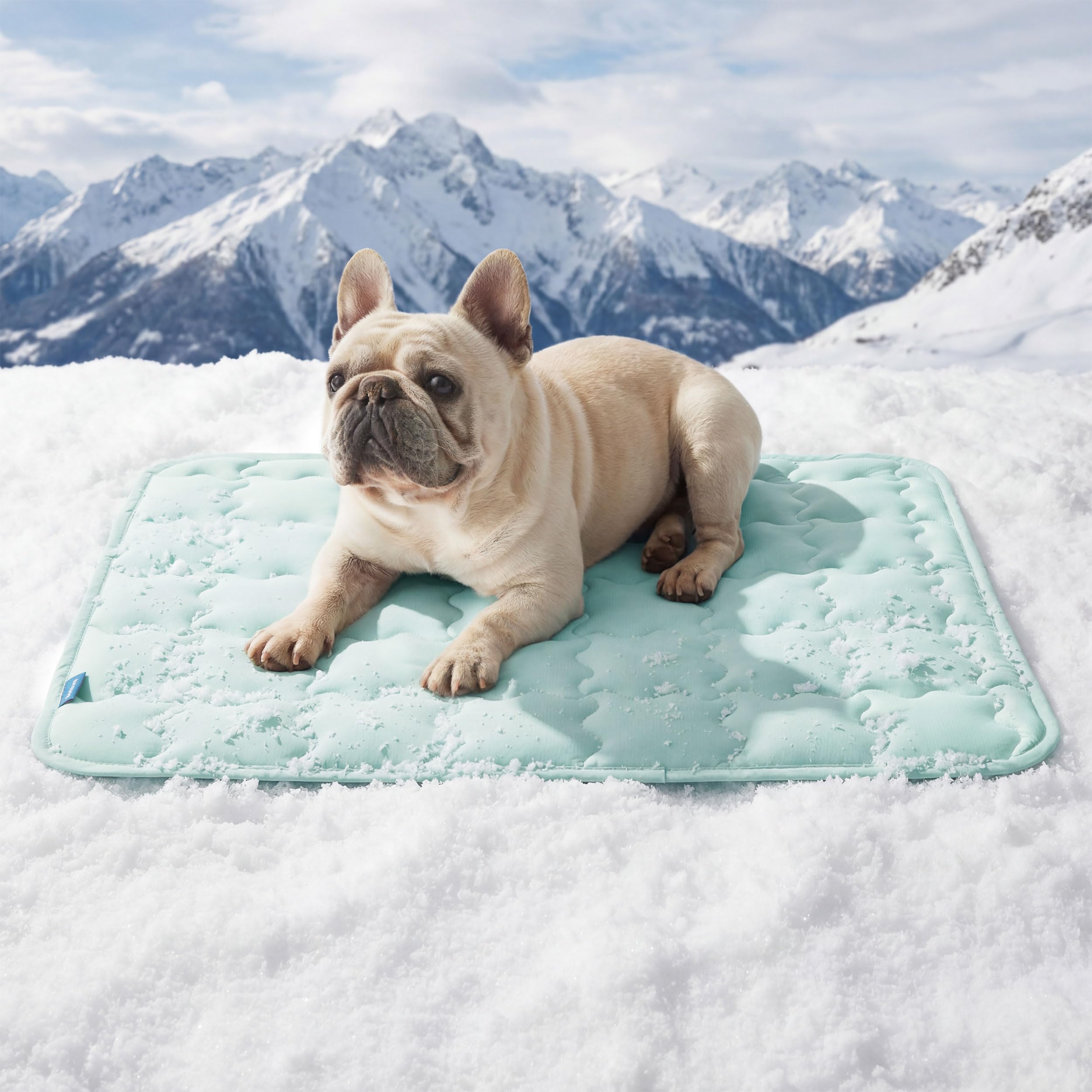 Bedsure cooling mat for medium dogs in green, instant cooling on contact.
