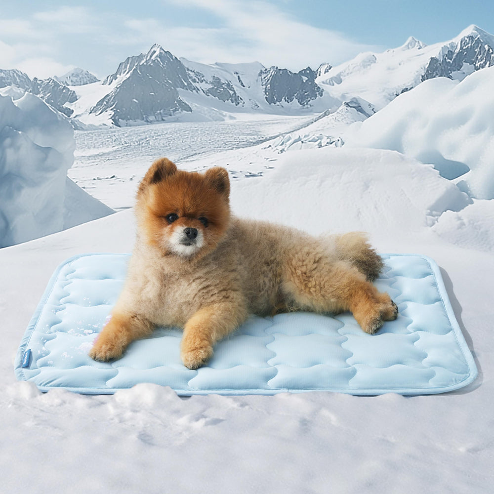 Bedsure cooling mat for small dog lying, instant cooling and comfort.