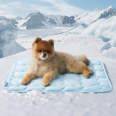 Bedsure cooling mat for small dog lying, instant cooling and comfort.