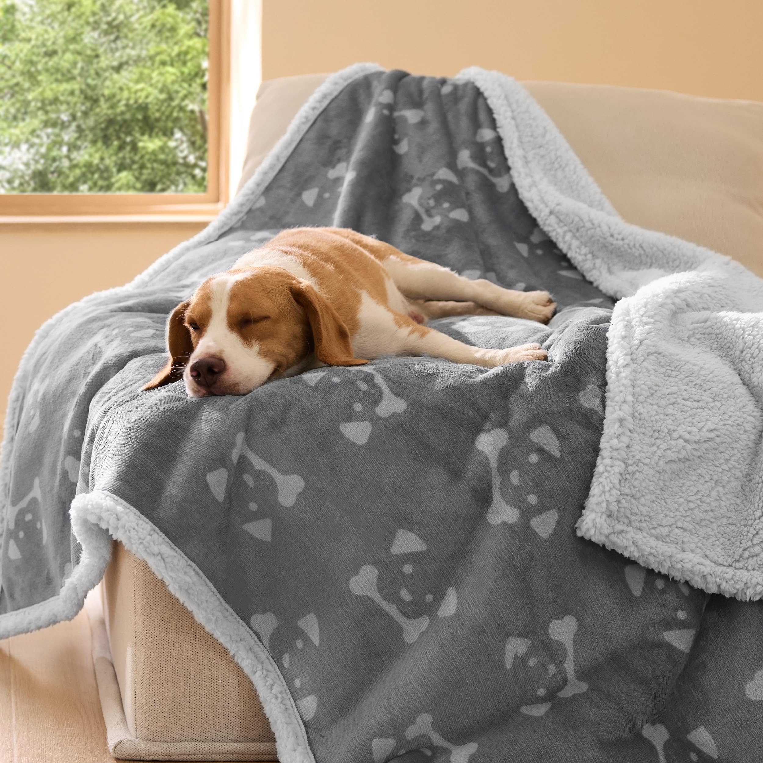 Bedsure cozy plush throw ideal for daily pet lounging