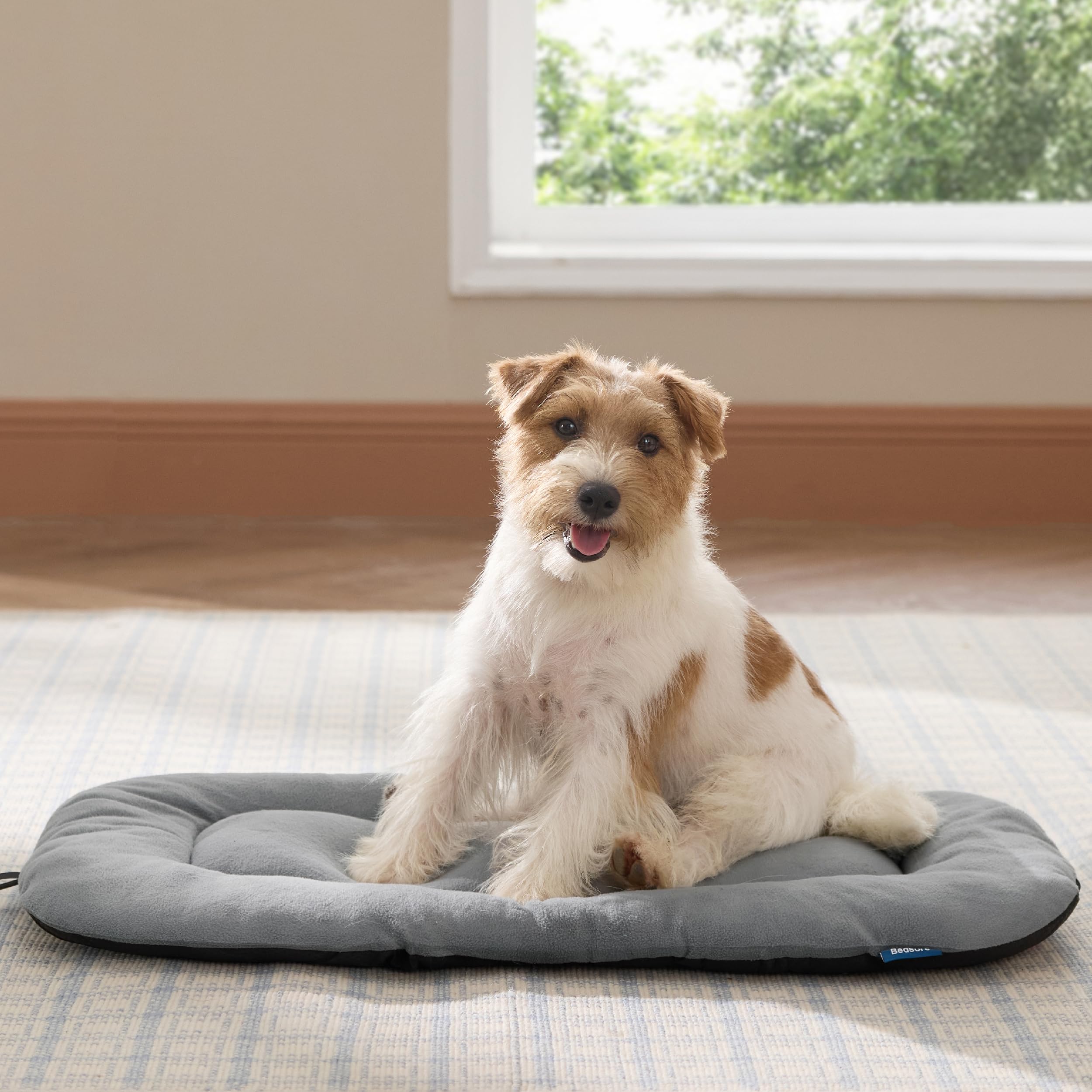 Safe padding with rubberized bottom for crate stability.
