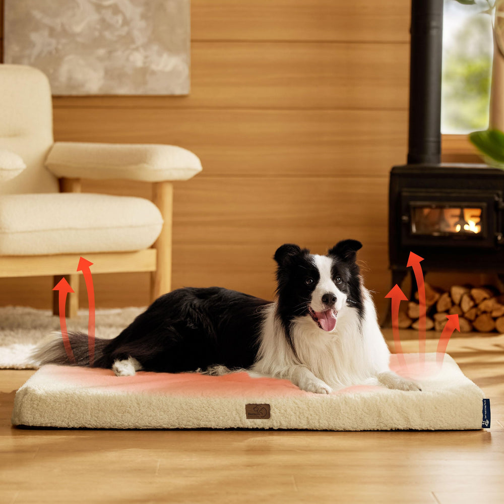 Bedsure dog bed shown in a cozy living room setup for versatile use