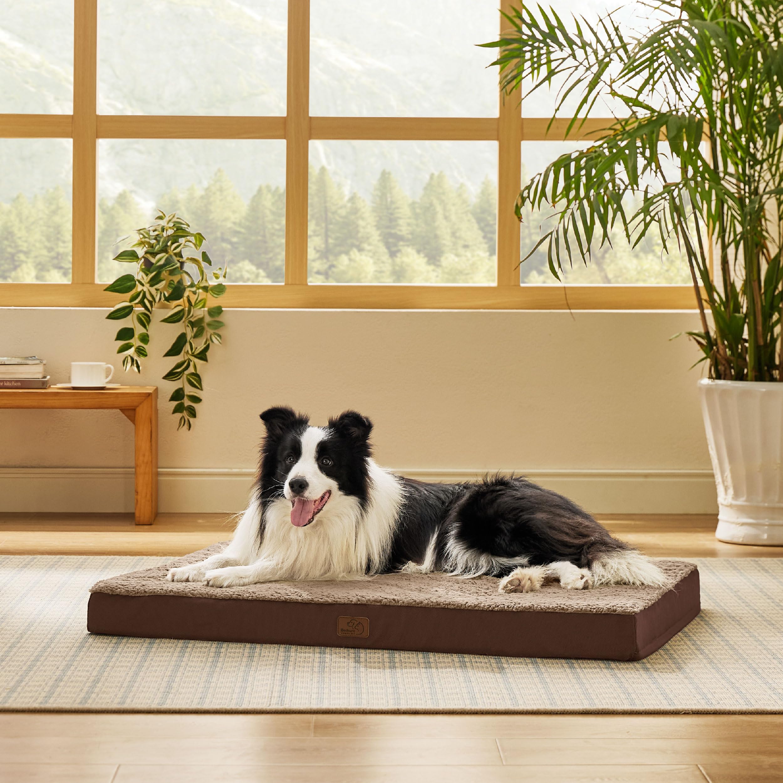 Bedsure dog bed travel-use setup for home, car, or outdoors