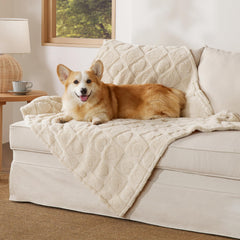 Bedsure dog blanket 40x50in offers warmth for large dogs during naps.