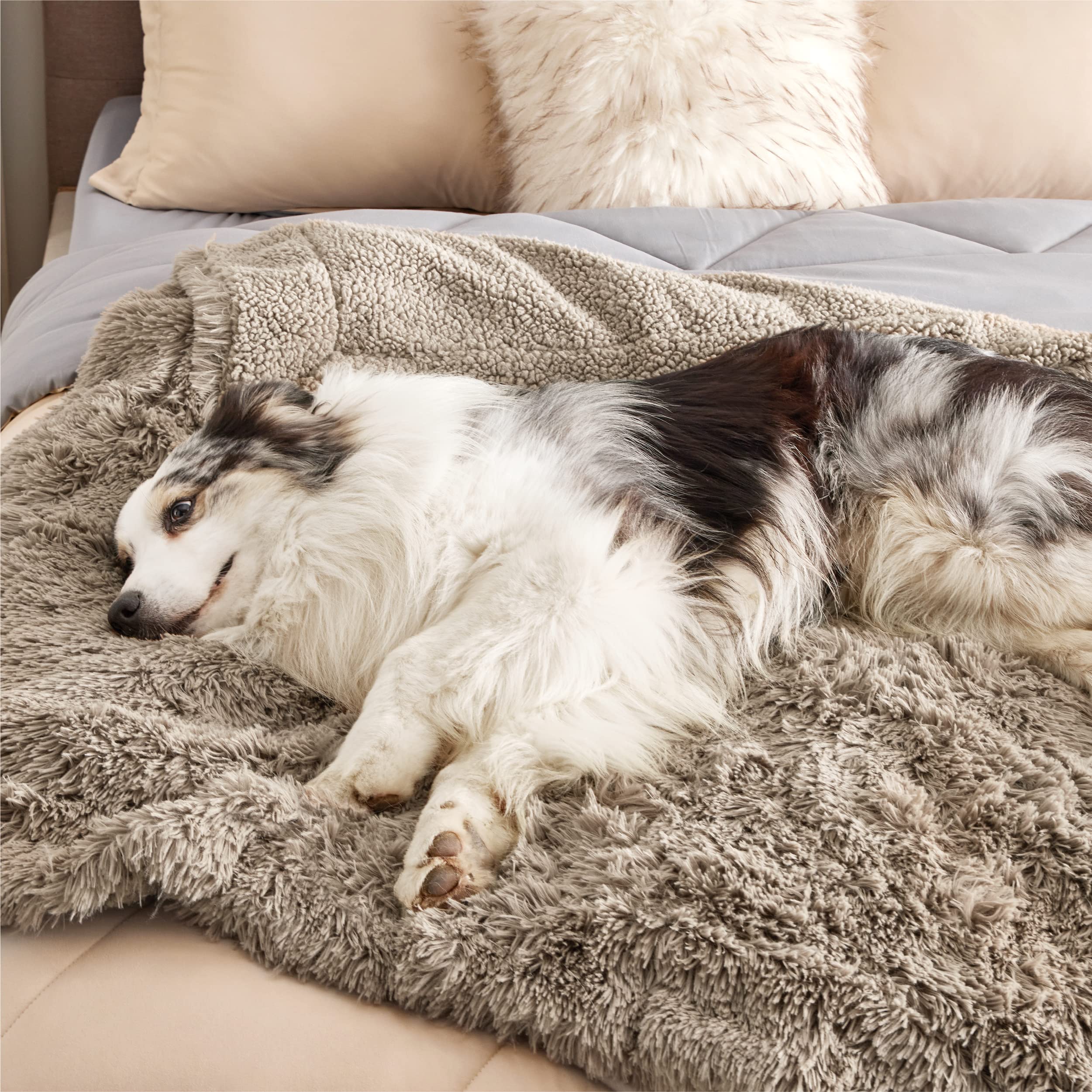 Bedsure XL blanket sized 50x60 supports medium to large dogs in all rooms.
