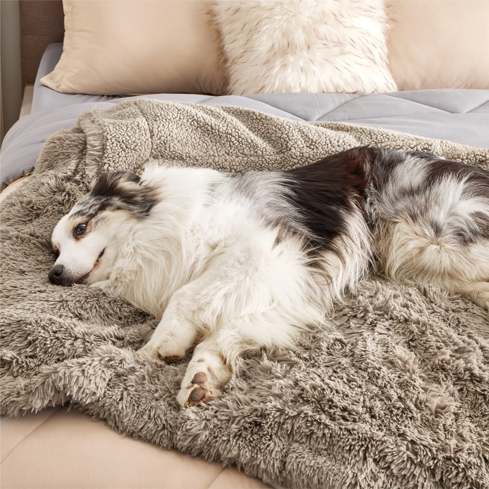 Bedsure XL blanket sized 50x60 supports medium to large dogs in all rooms.