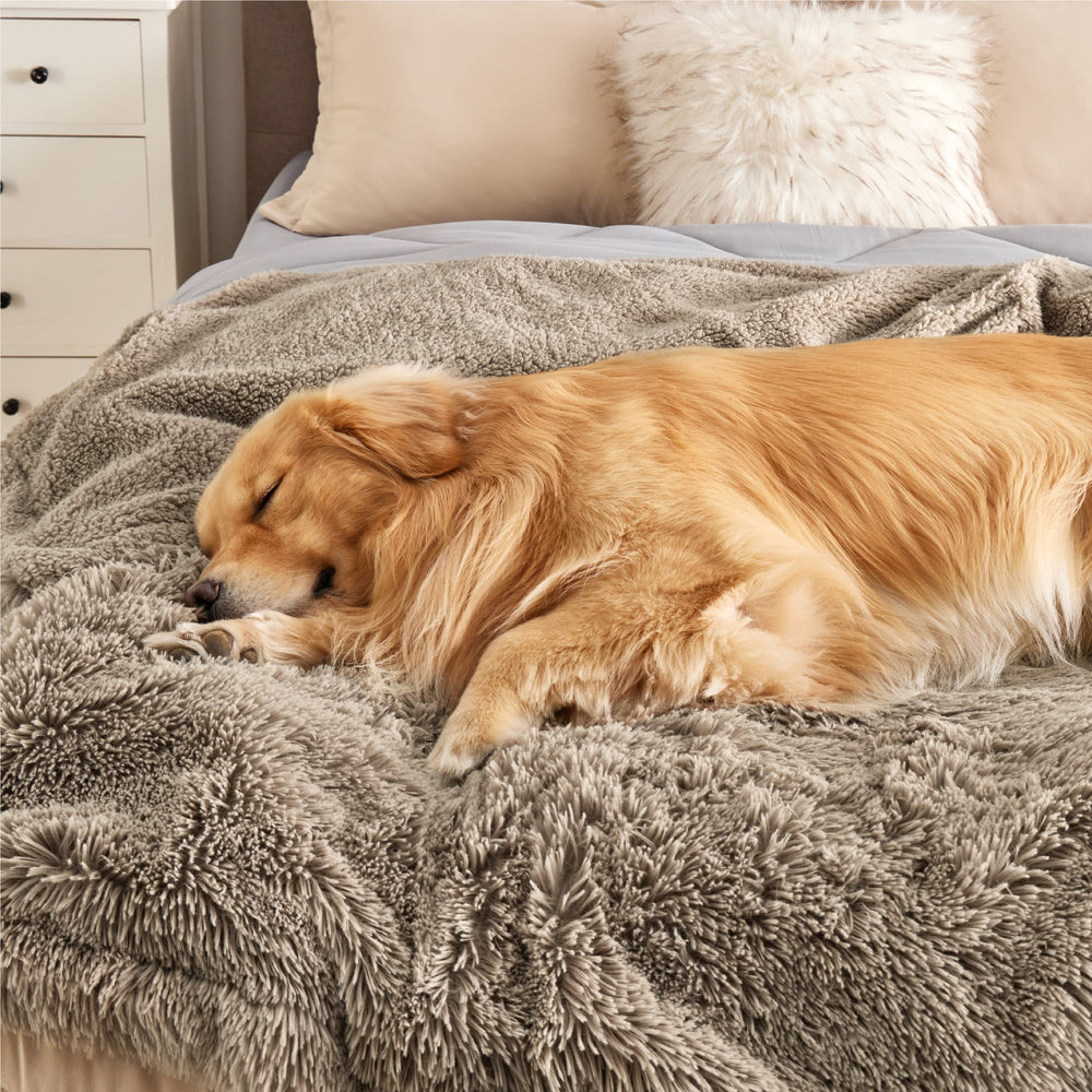 Bedsure easy-care blanket is machine washable for quick cleaning.