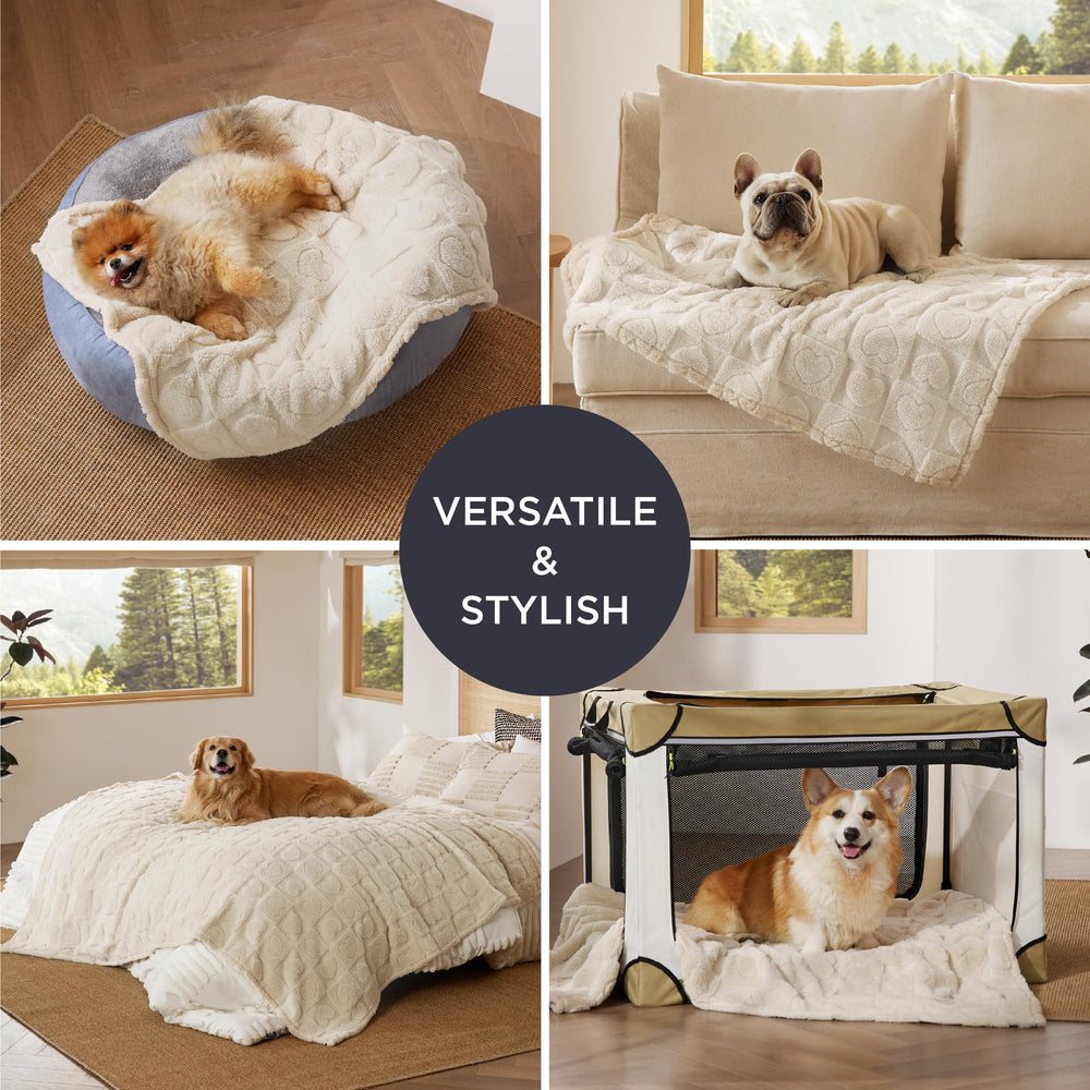 Bedsure dog blanket living room decor complements home style