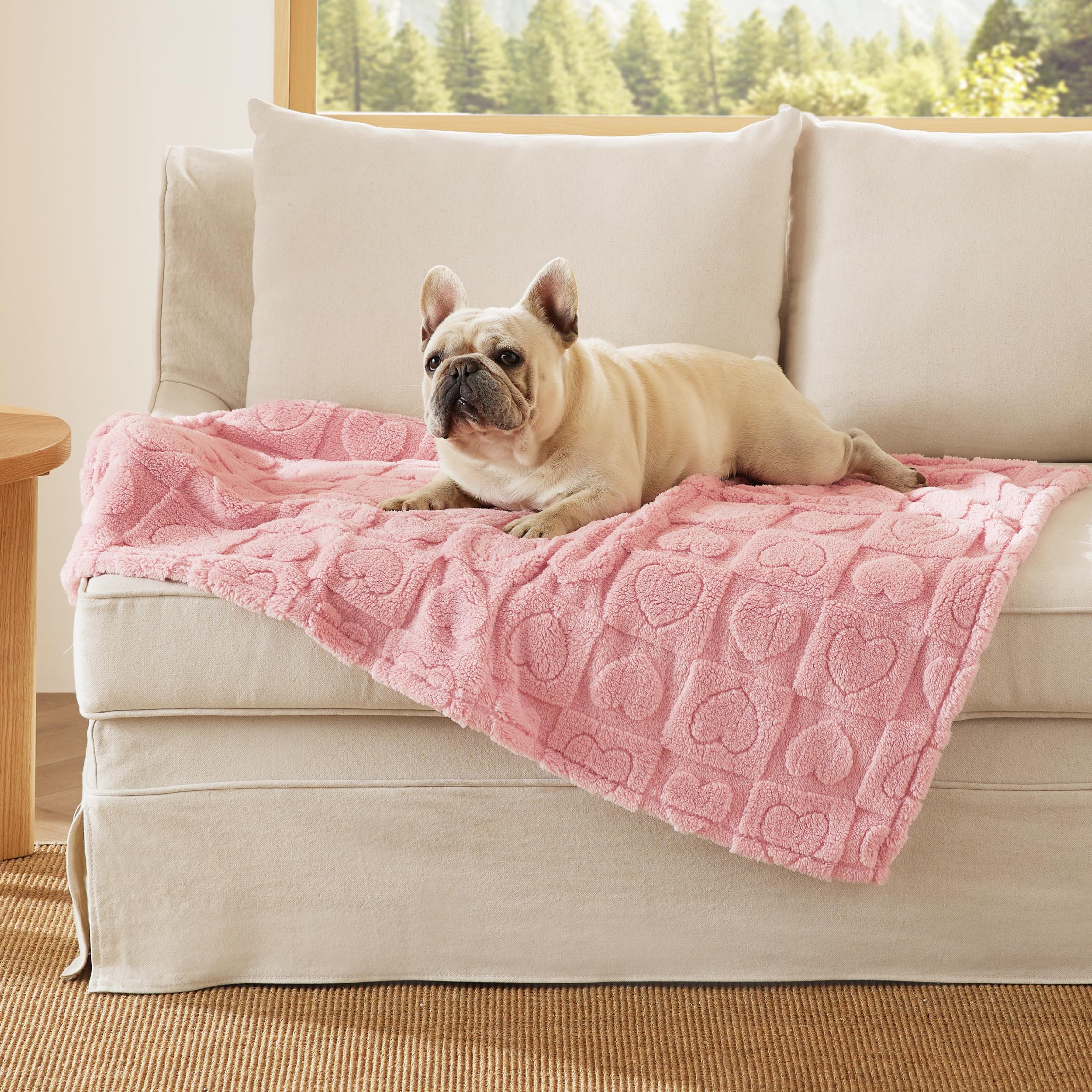 Bedsure pink dog blanket 30x40 folded, compact storage and travel-ready.