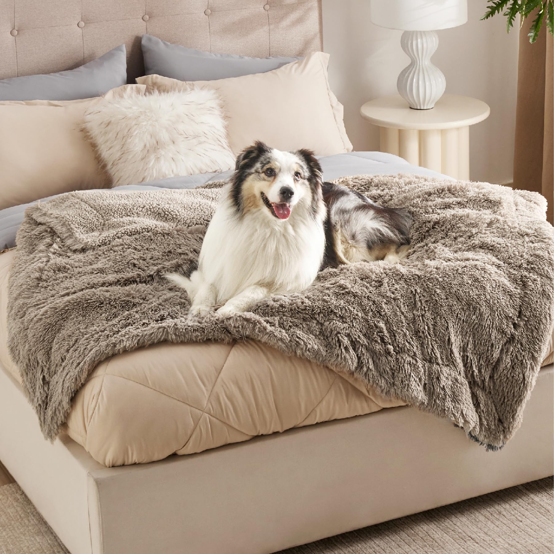 Bedsure travel-ready blanket folds compact for car trips and outdoor adventures.