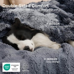 Bedsure twin-size 60x80 blanket covers large dogs comfortably.