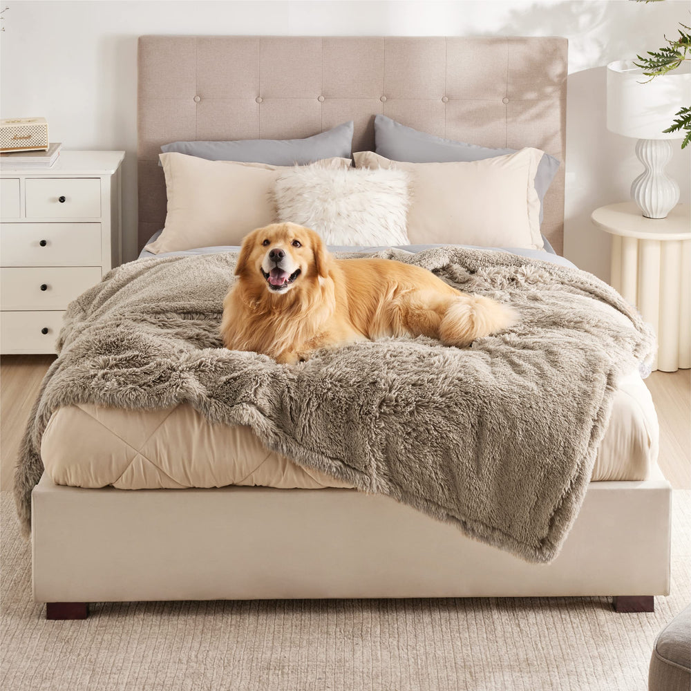 Bedsure dog blanket with waterproof fleece protects furniture from spills and accidents.