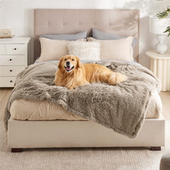 Bedsure dog blanket with waterproof fleece protects furniture from spills and accidents.