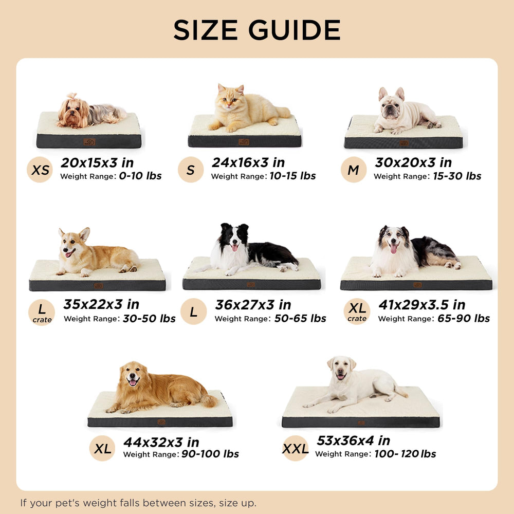 Bedsure dog crate bed designed for versatility and durability